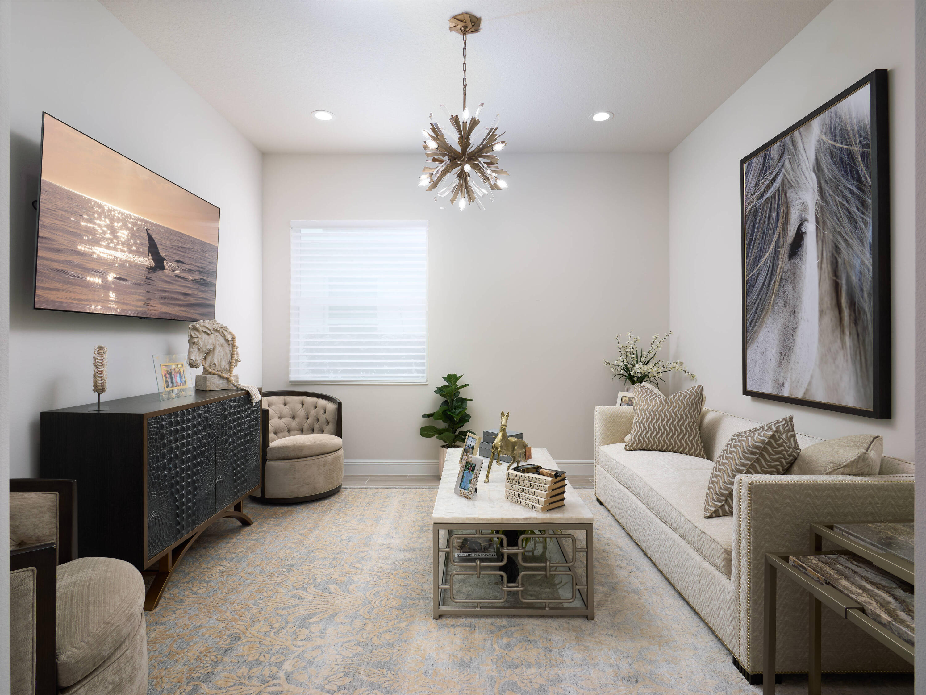 MLS #RX-11147262 image #6