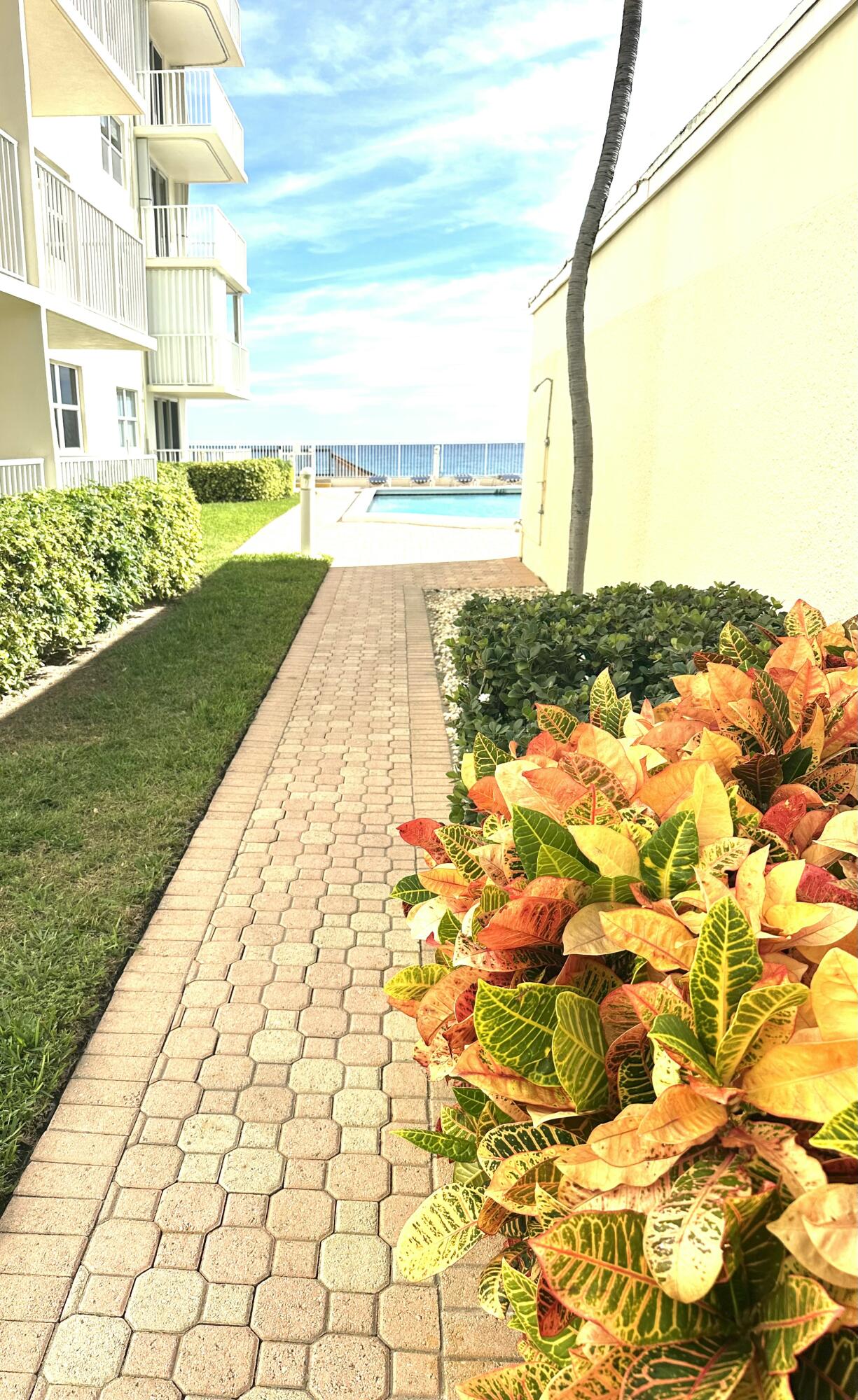 MLS #RX-10601272 image #15