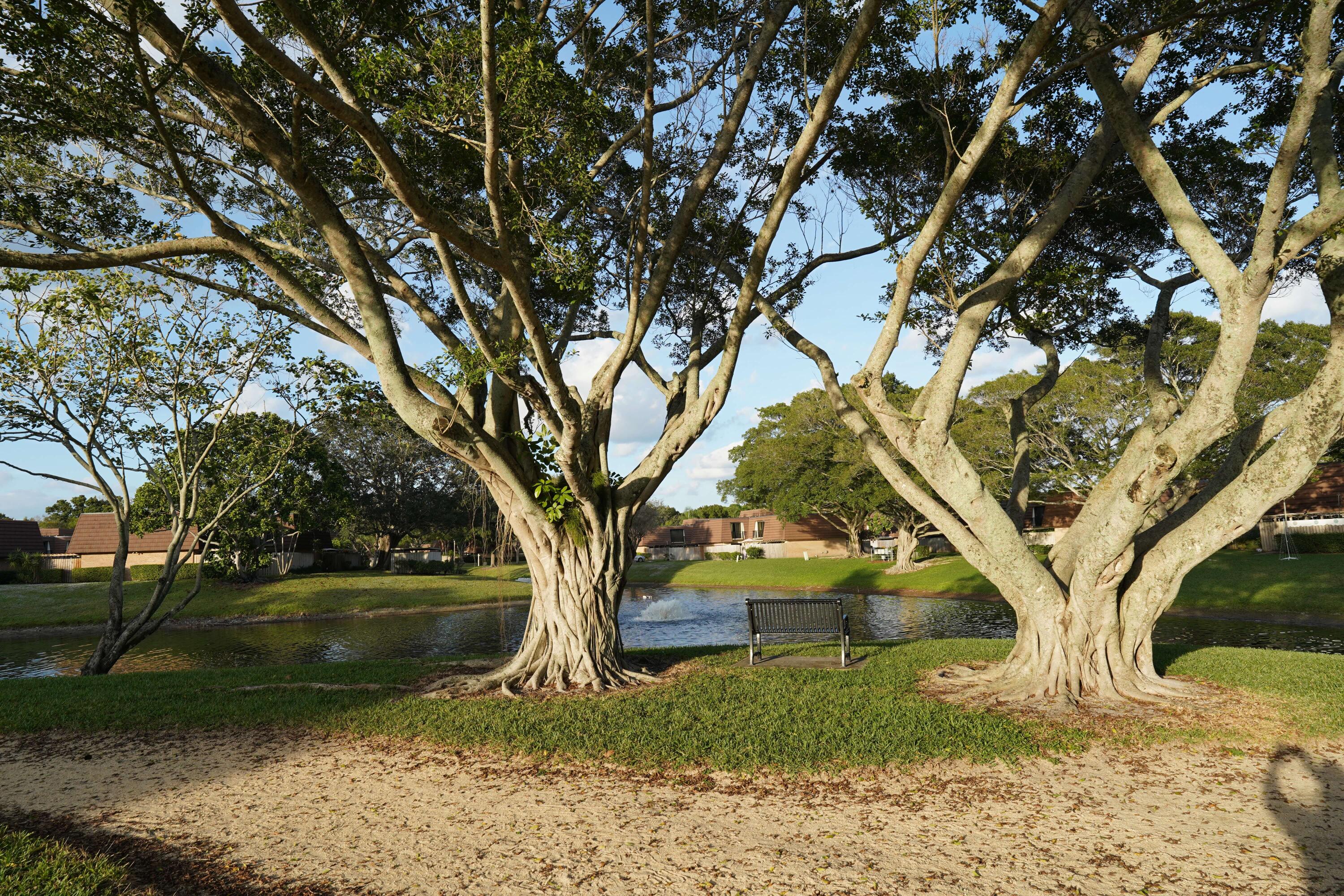 MLS #RX-11147436 image #21