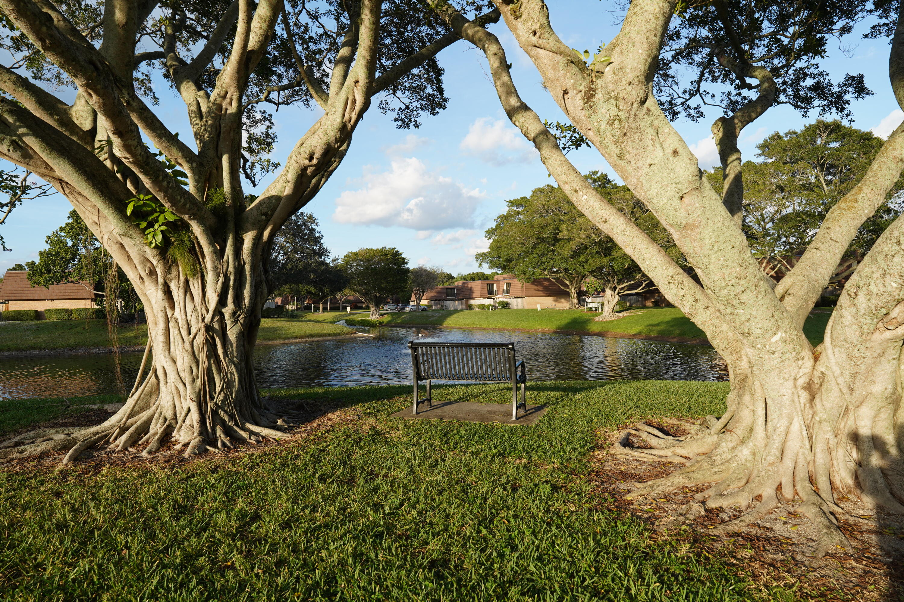 MLS #RX-11147436 image #22