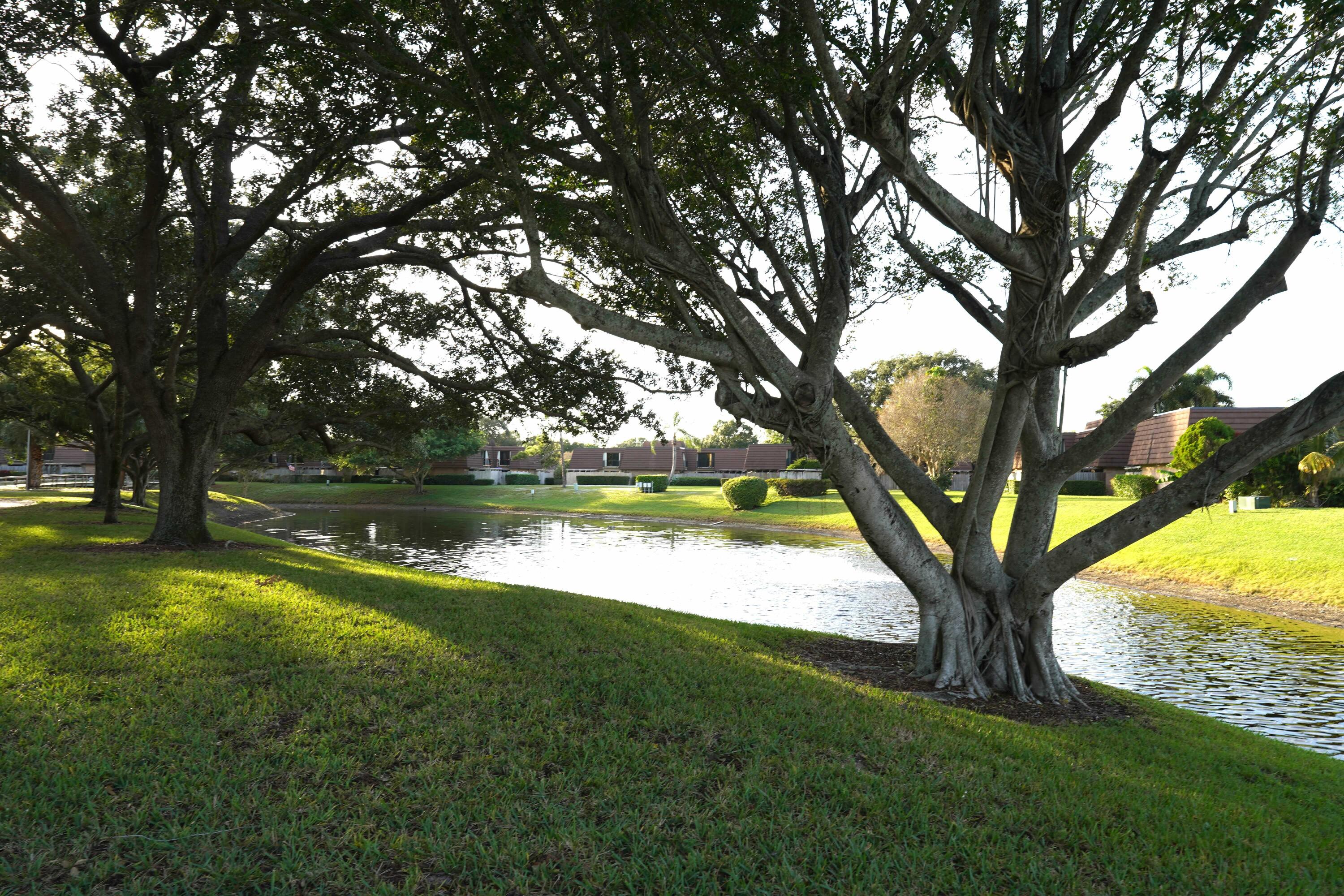 MLS #RX-11147436 image #25