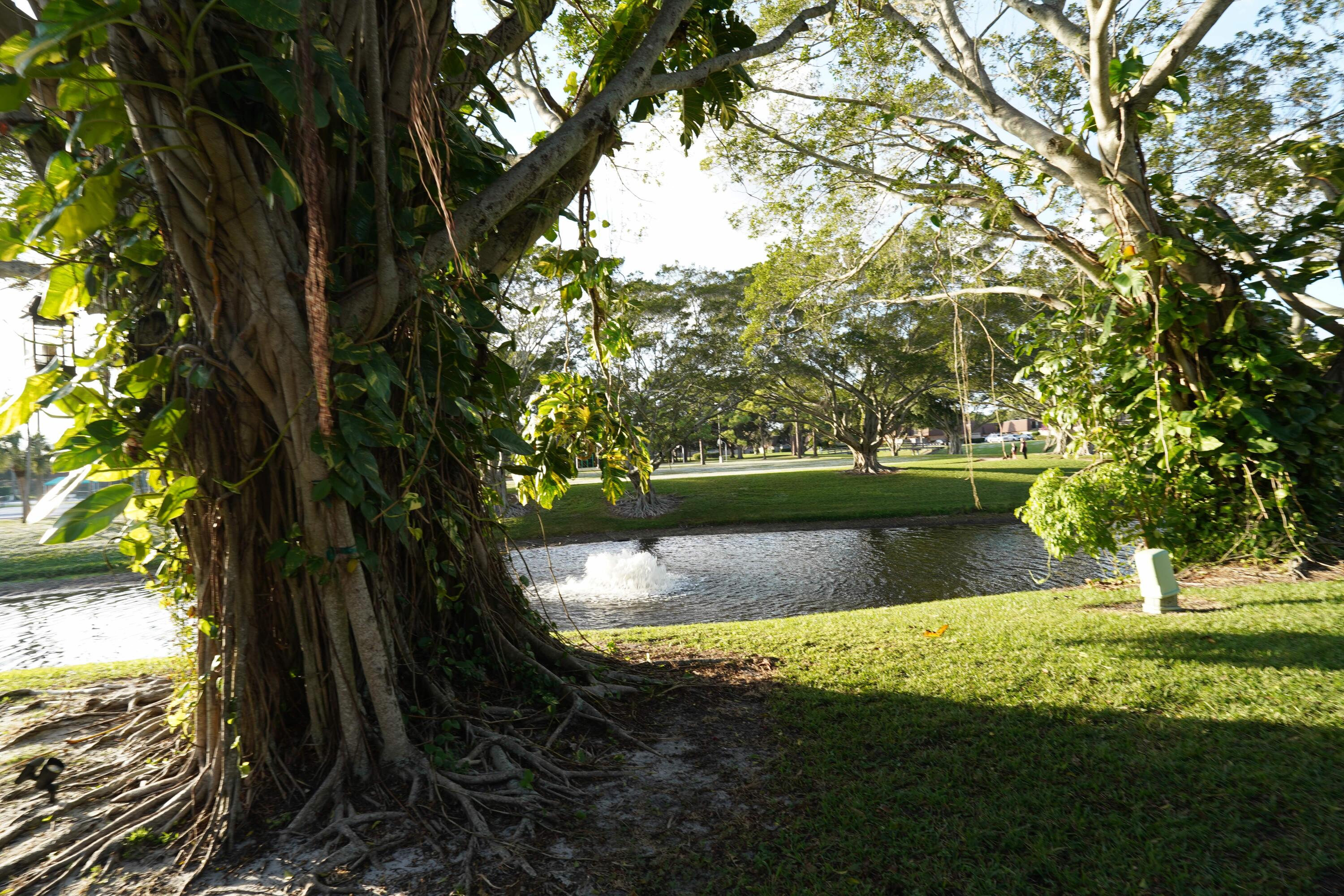 MLS #RX-11147436 image #4