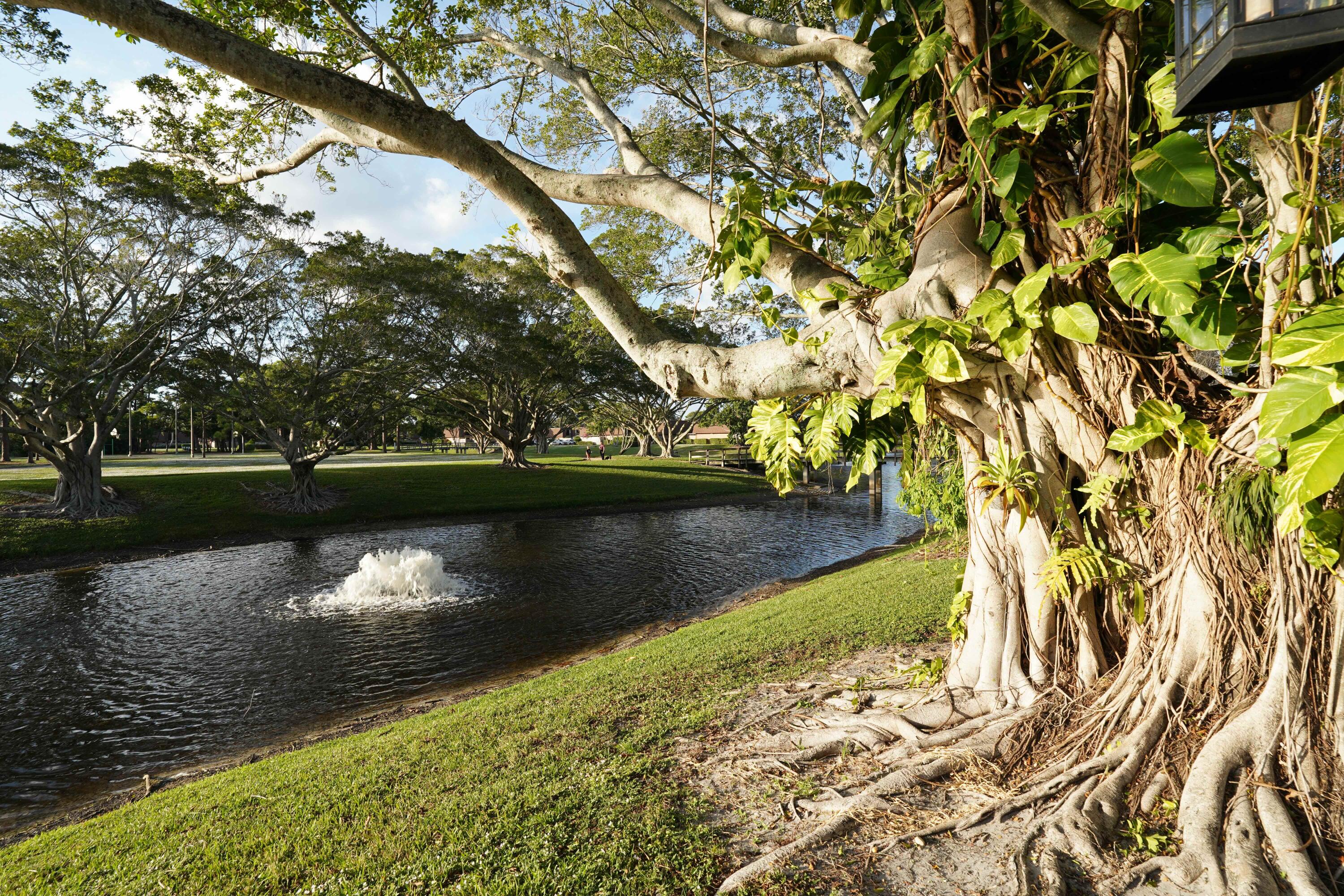 MLS #RX-11147436 image #5