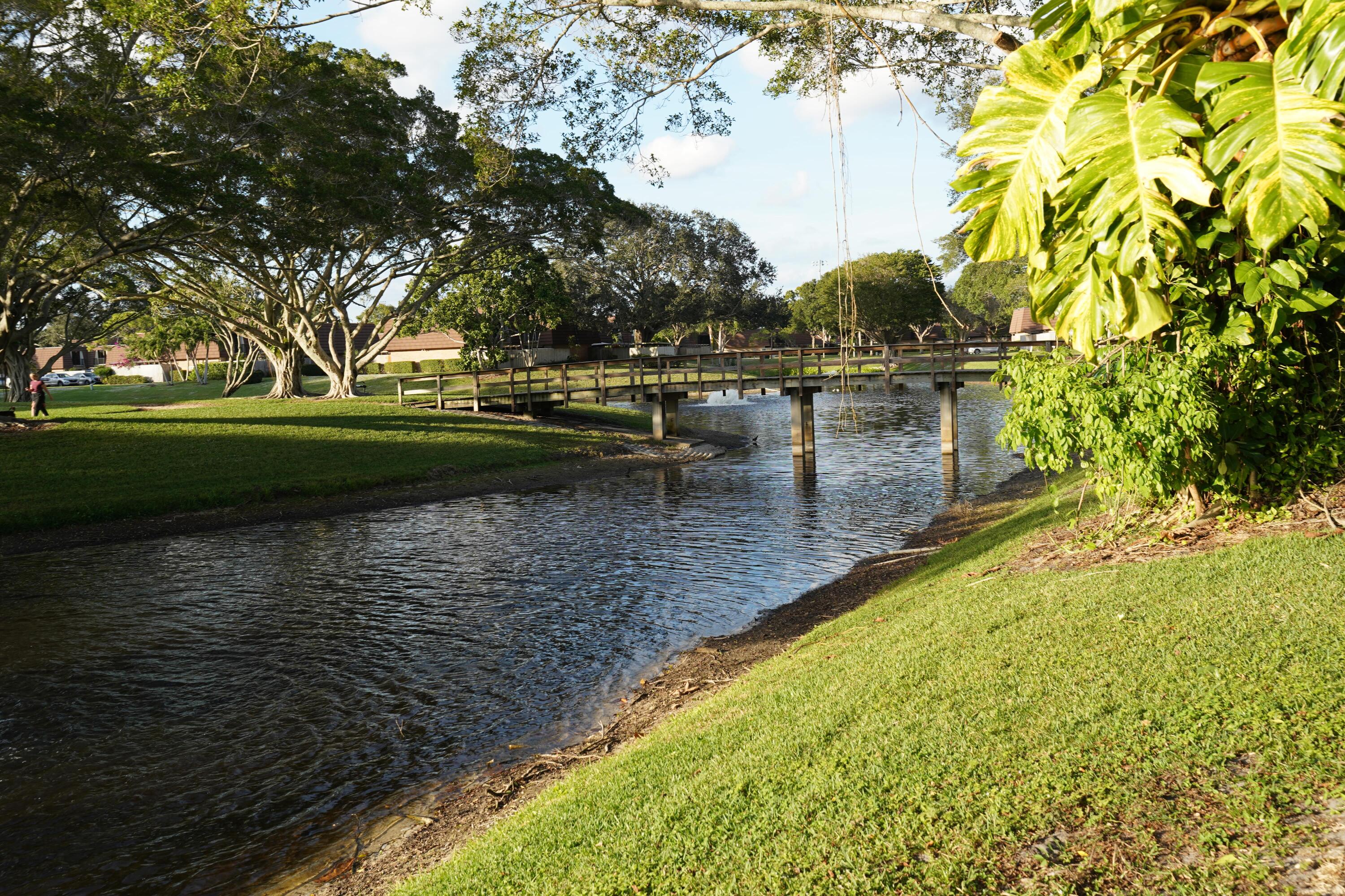 MLS #RX-11147436 image #6