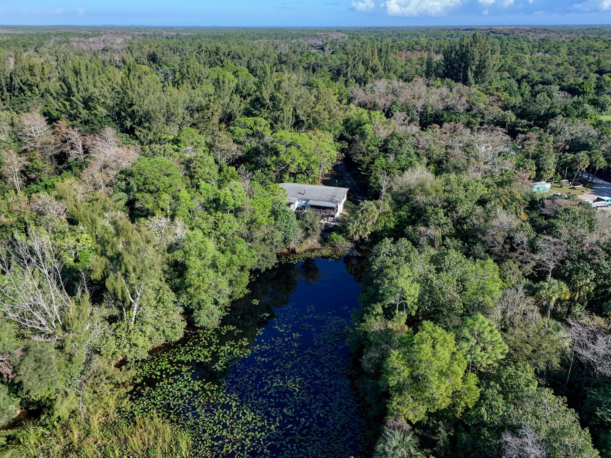 MLS #RX-11147441 image #10