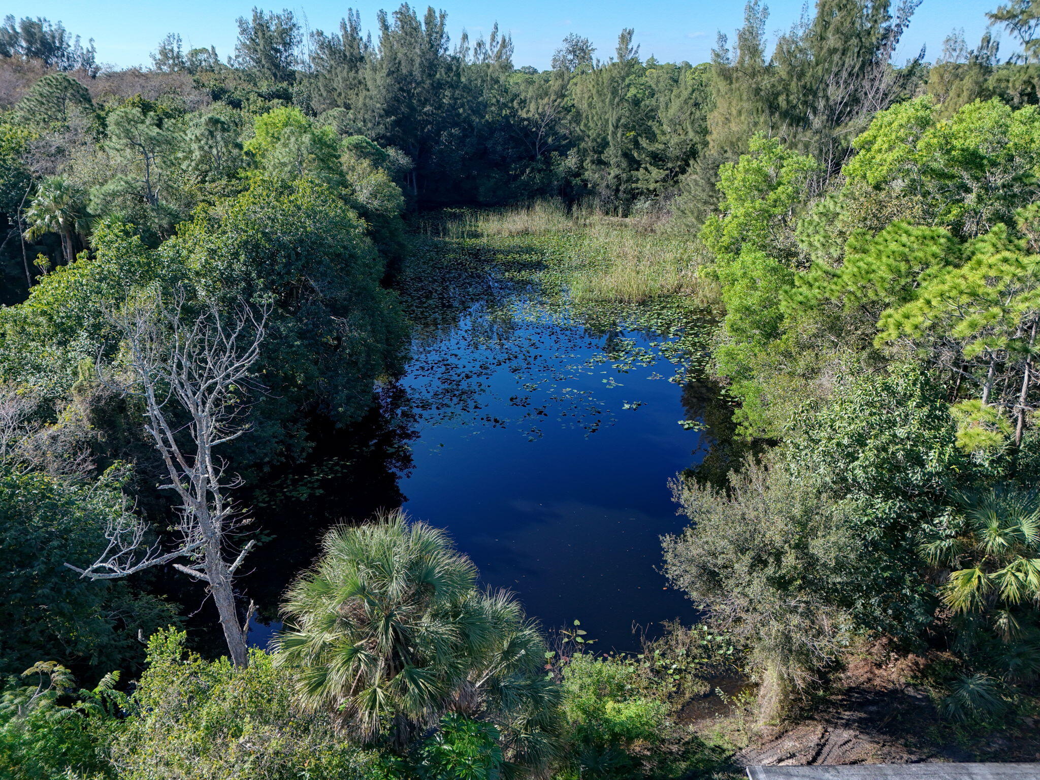 MLS #RX-11147441 image #15