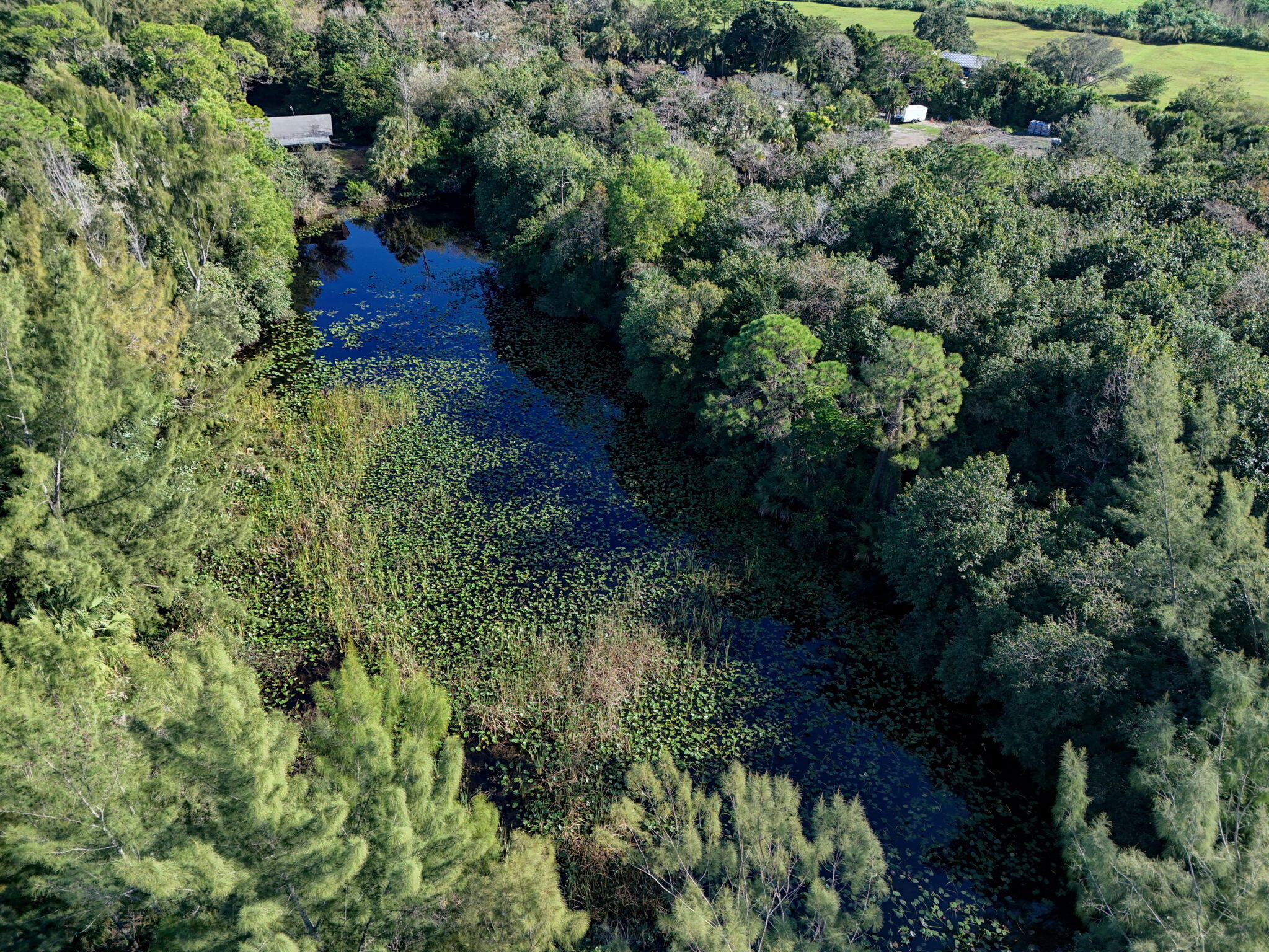 MLS #RX-11147441 image #2