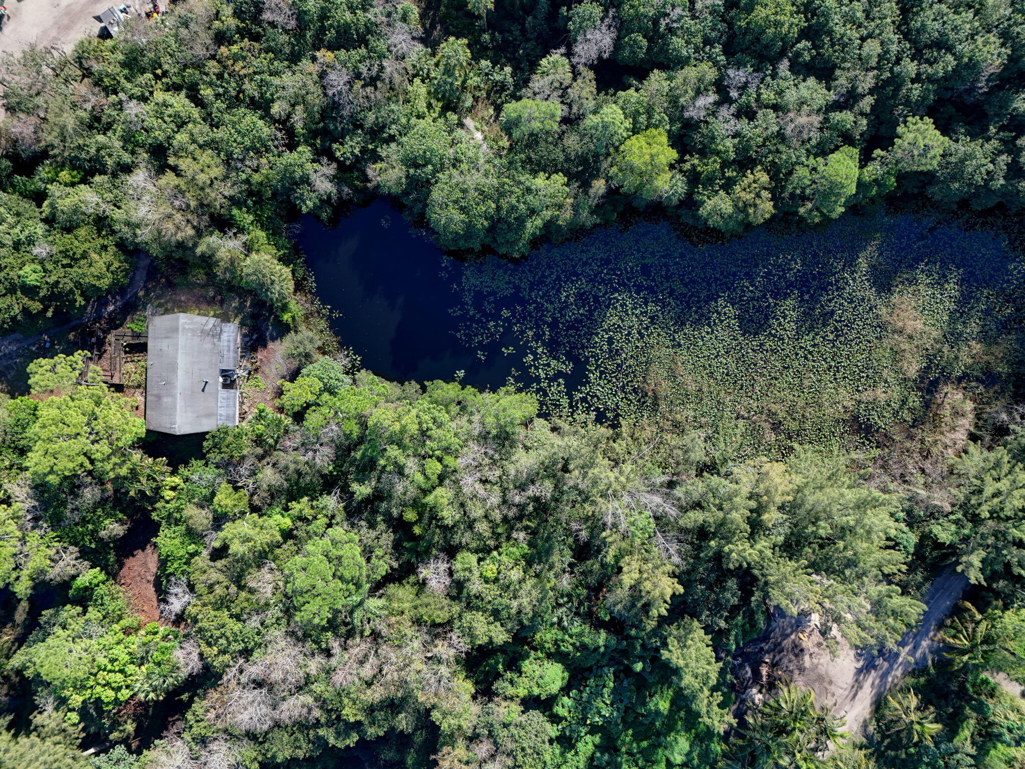 MLS #RX-11147441 image #20