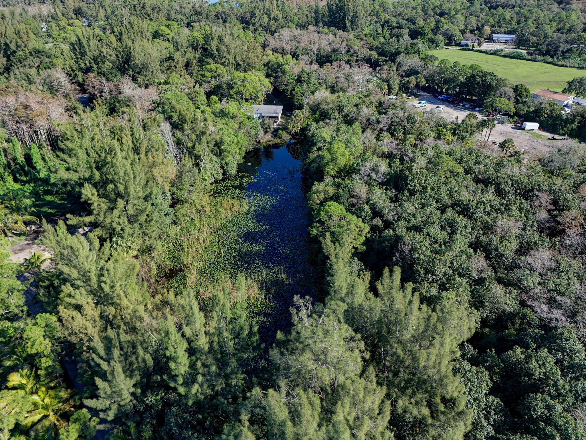 MLS #RX-11147441 image #3