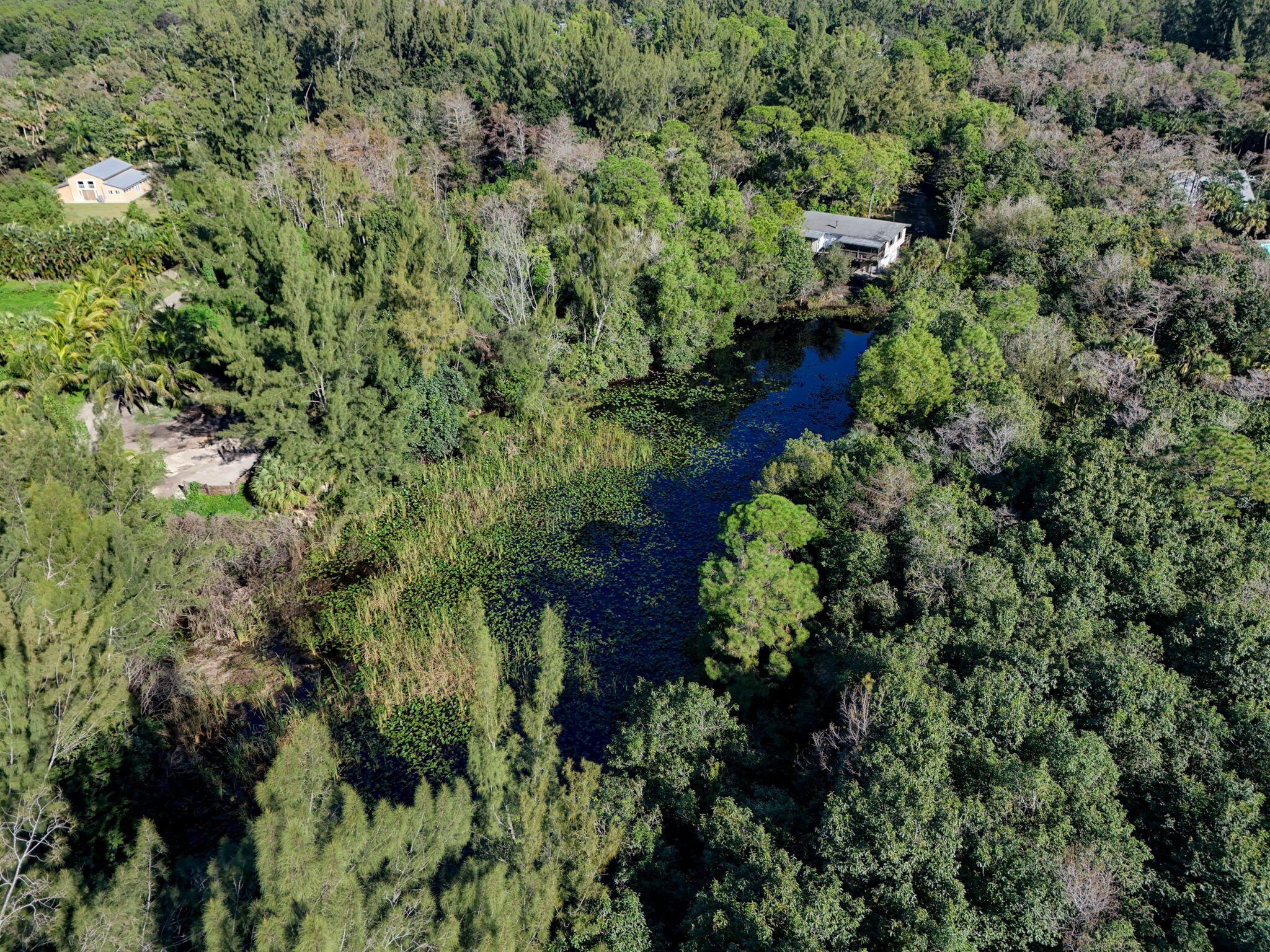 MLS #RX-11147441 image #9