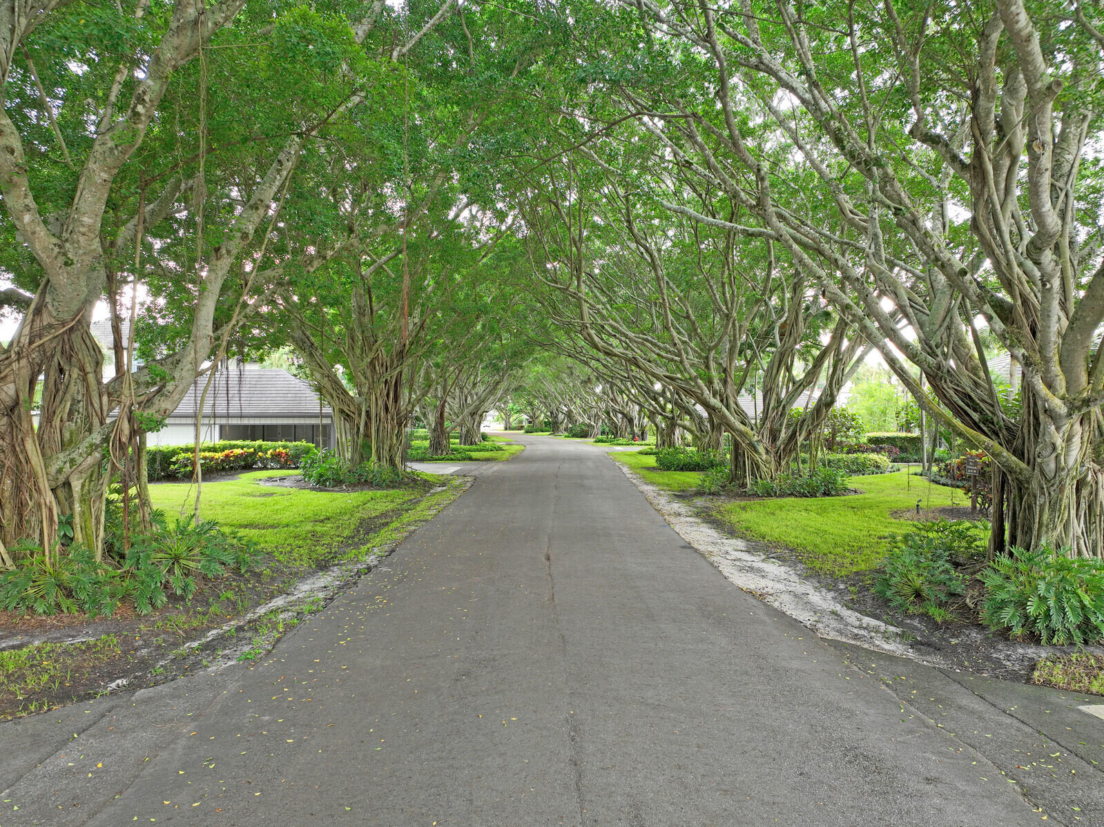 MLS #RX-11147447 image #54