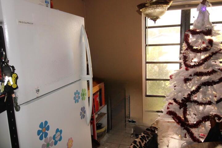 MLS #RX-11147553 image #3