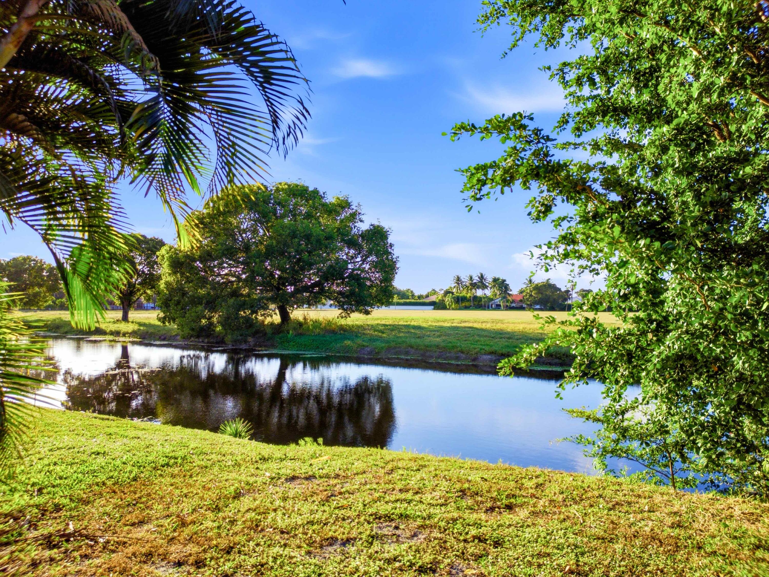 MLS #RX-11147604 image #47