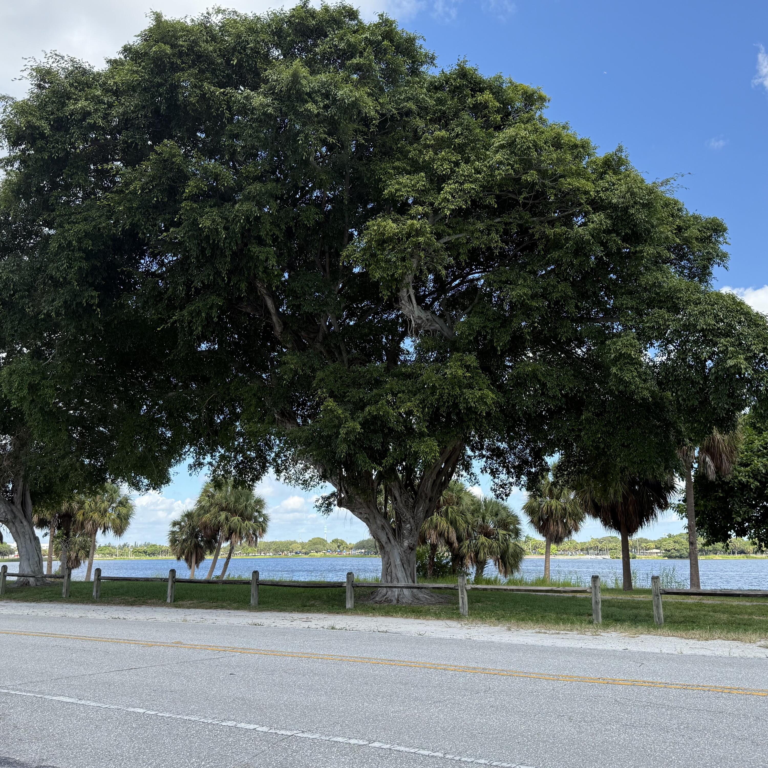 MLS #RX-11147612 image #10