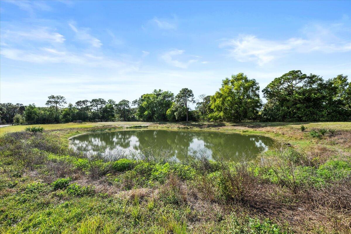 MLS #RX-11147626 image #31