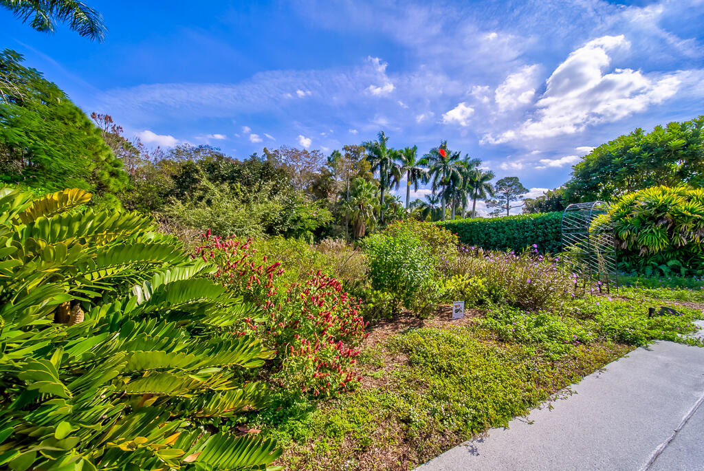 MLS #RX-11147655 image #48