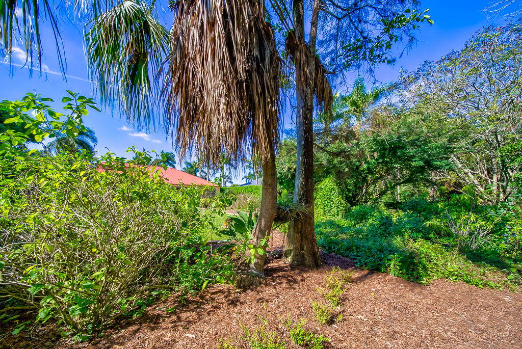 MLS #RX-11147655 image #54