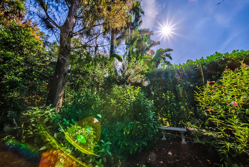 MLS #RX-11147655 image #55