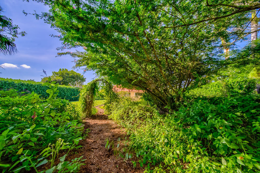 MLS #RX-11147655 image #58