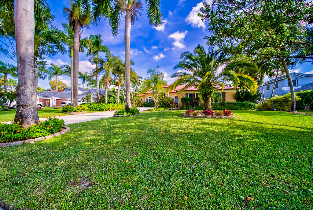 MLS #RX-11147655 image #6