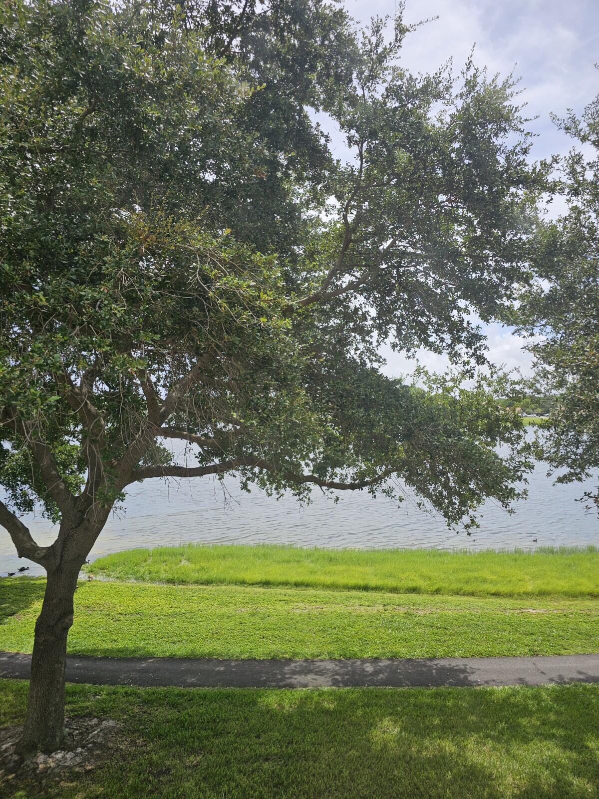 MLS #RX-11049305 image #4