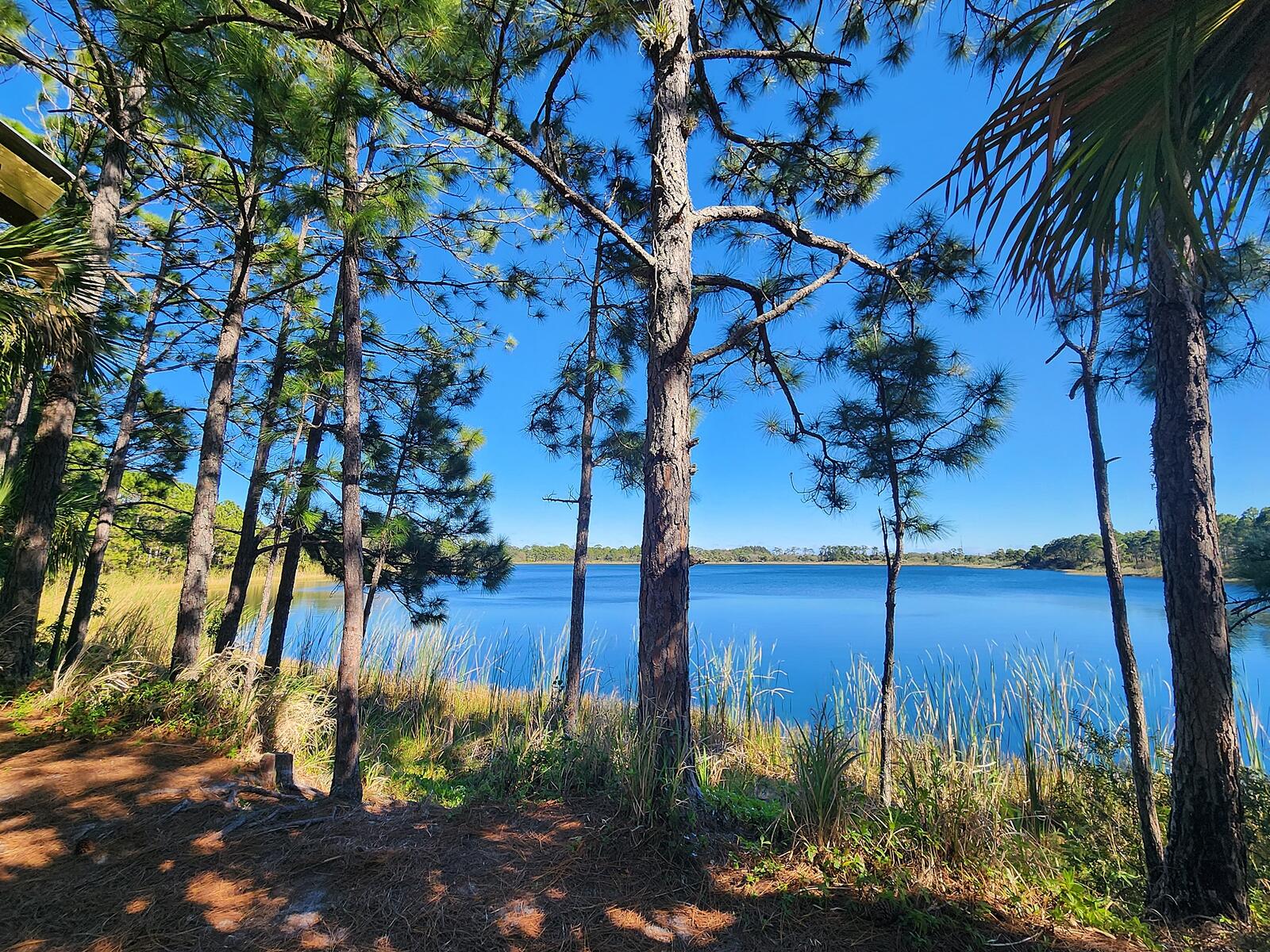 MLS #RX-11147700 image #23