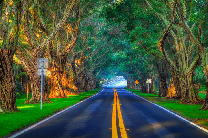 MLS #RX-11147751 image #37