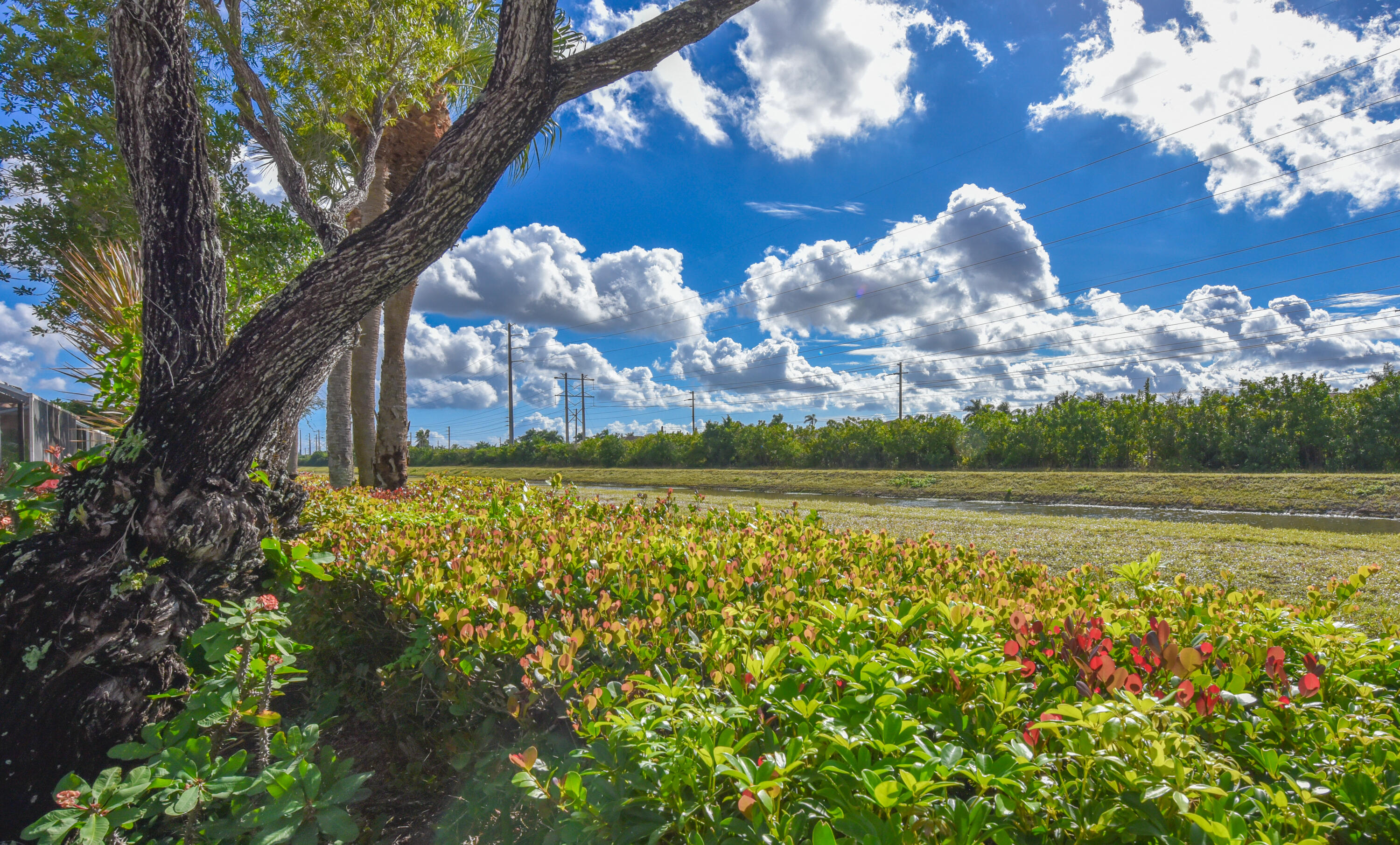 MLS #RX-11147863 image #22