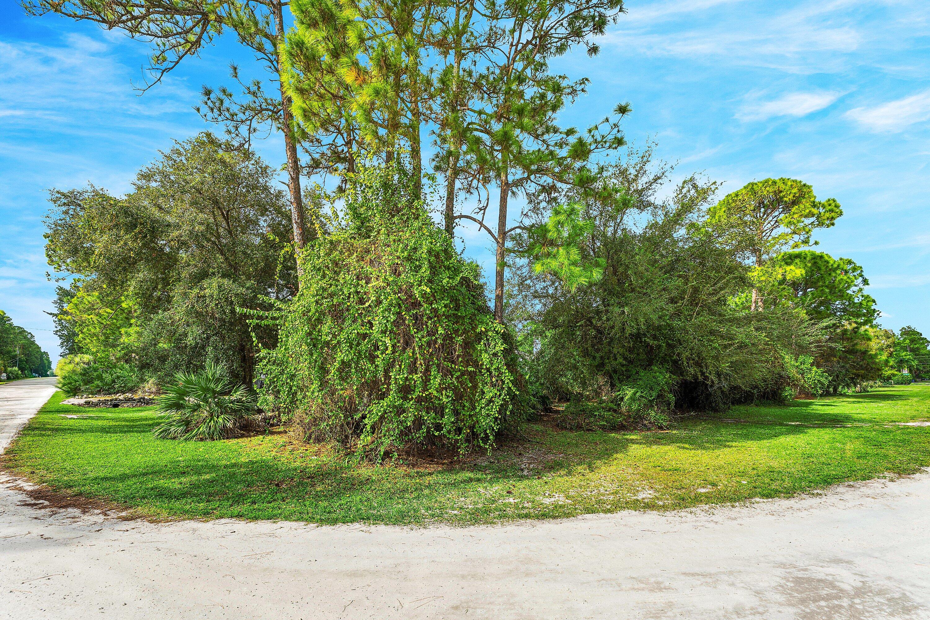 MLS #RX-11148134 image #46