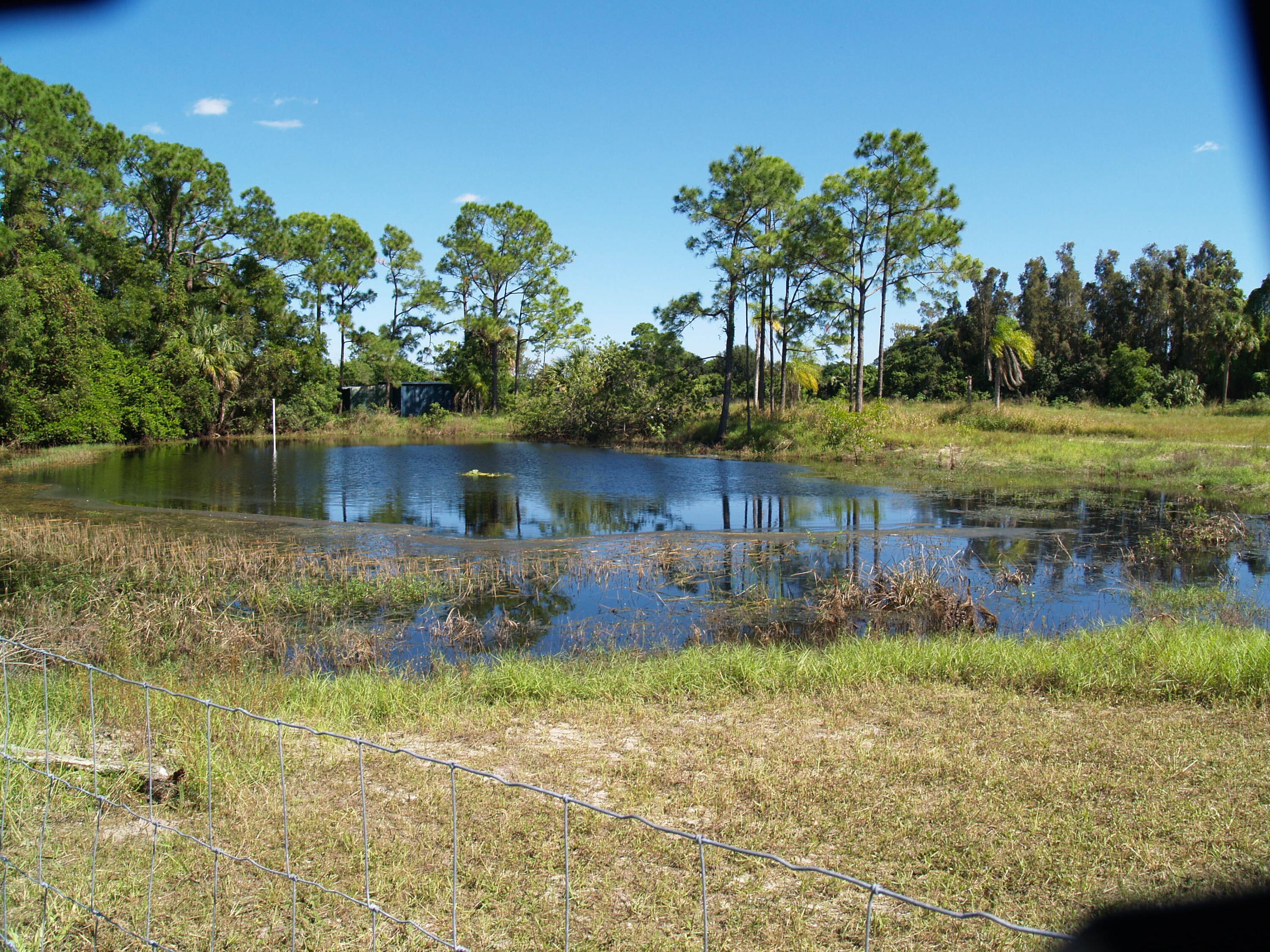 MLS #RX-11148270 image #4