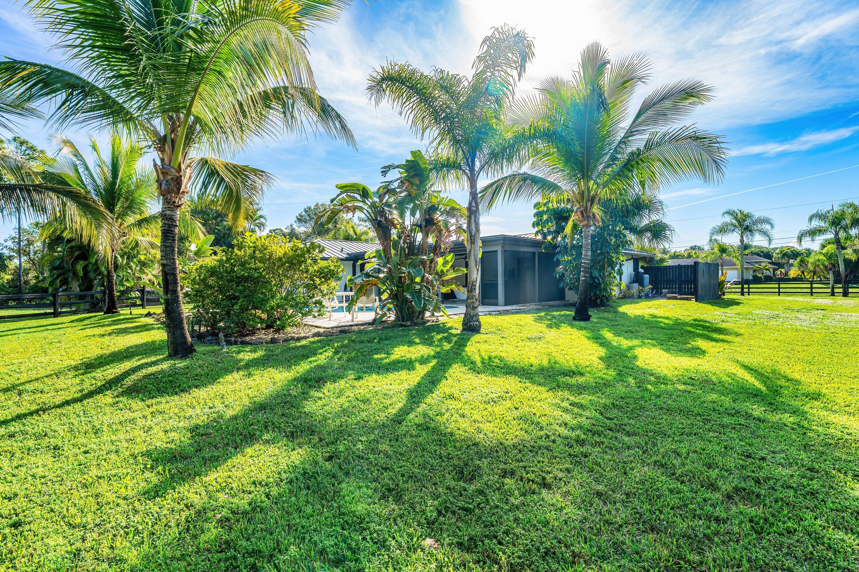 MLS #RX-11148522 image #35