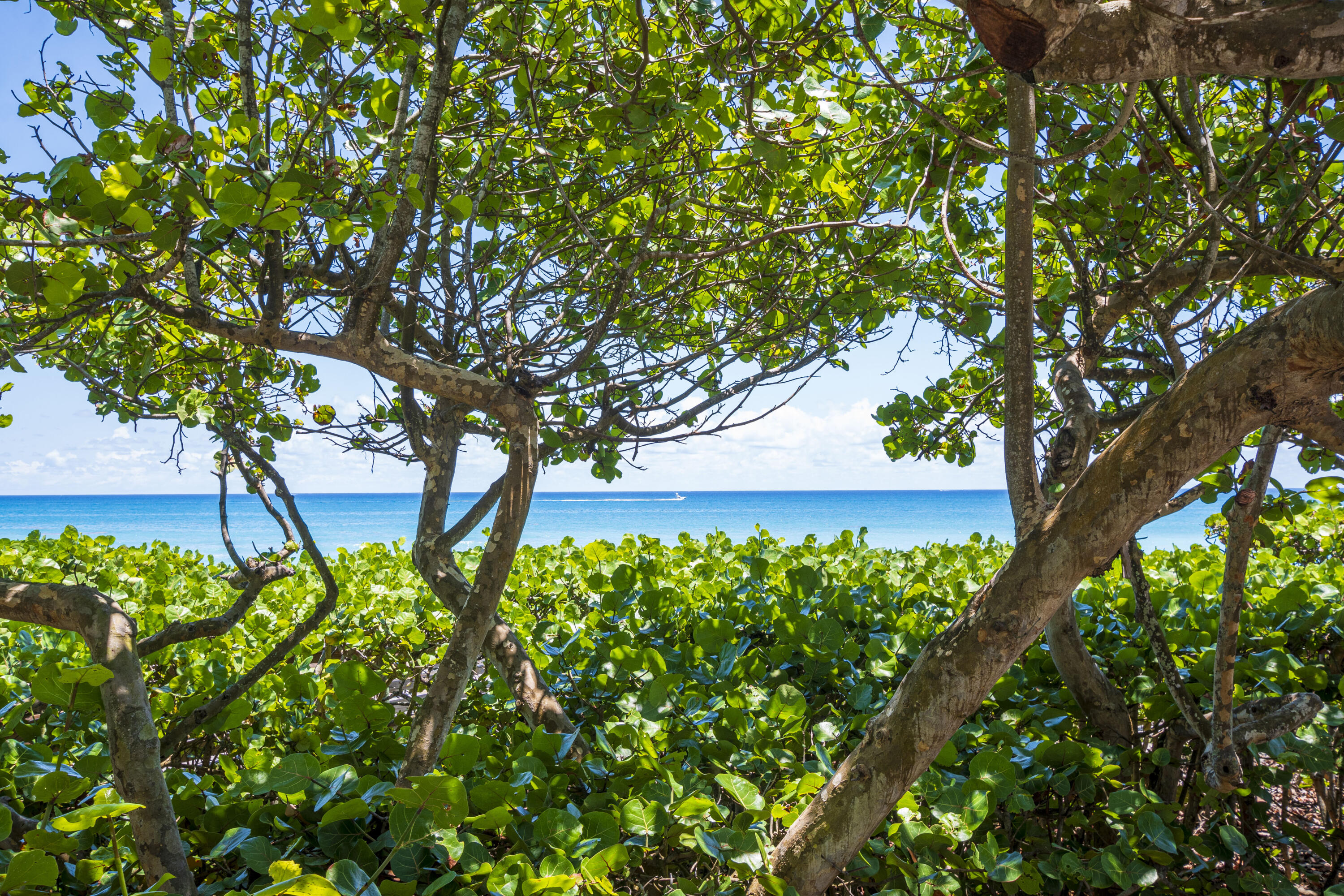 MLS #RX-11148608 image #46