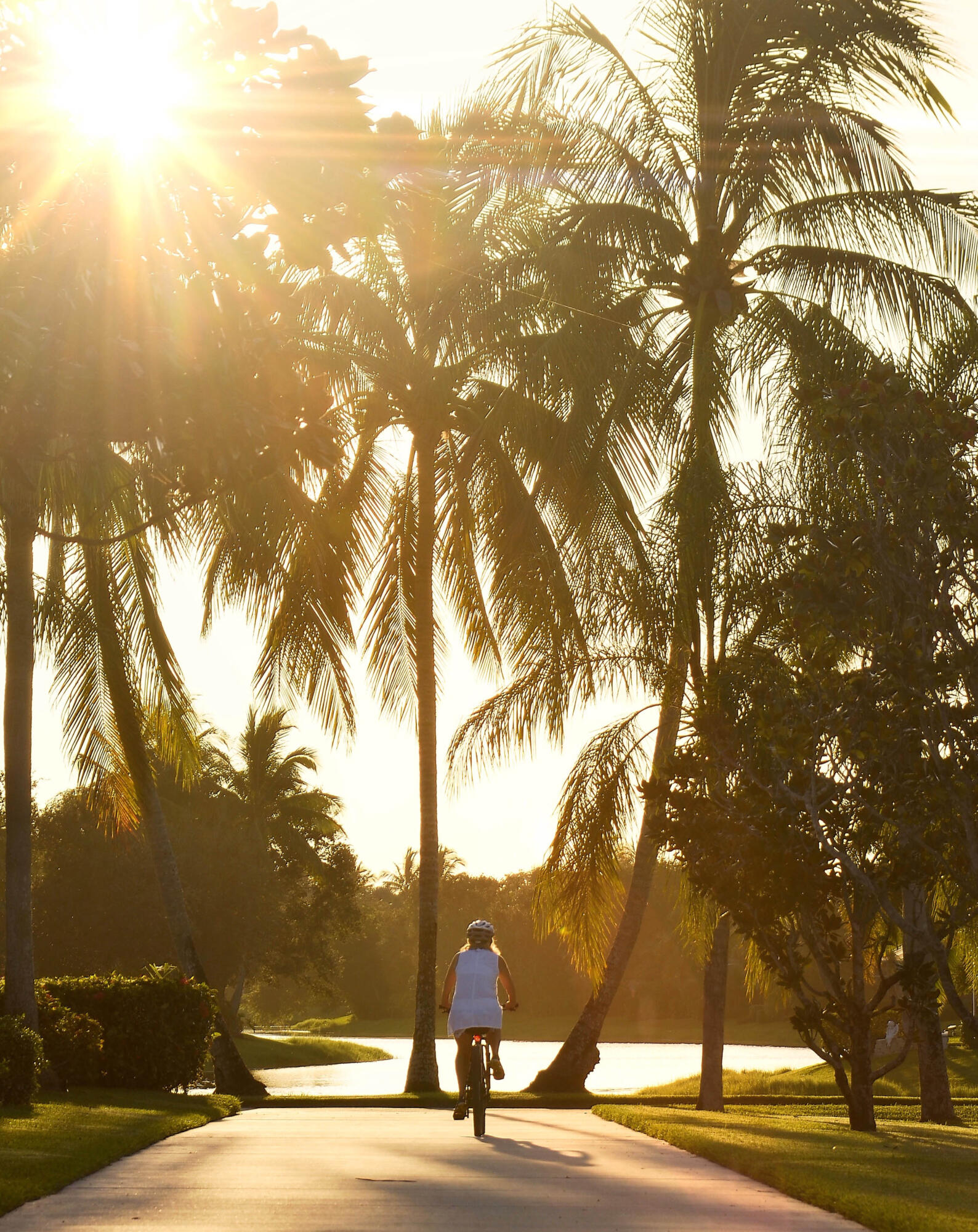 MLS #RX-11148655 image #40