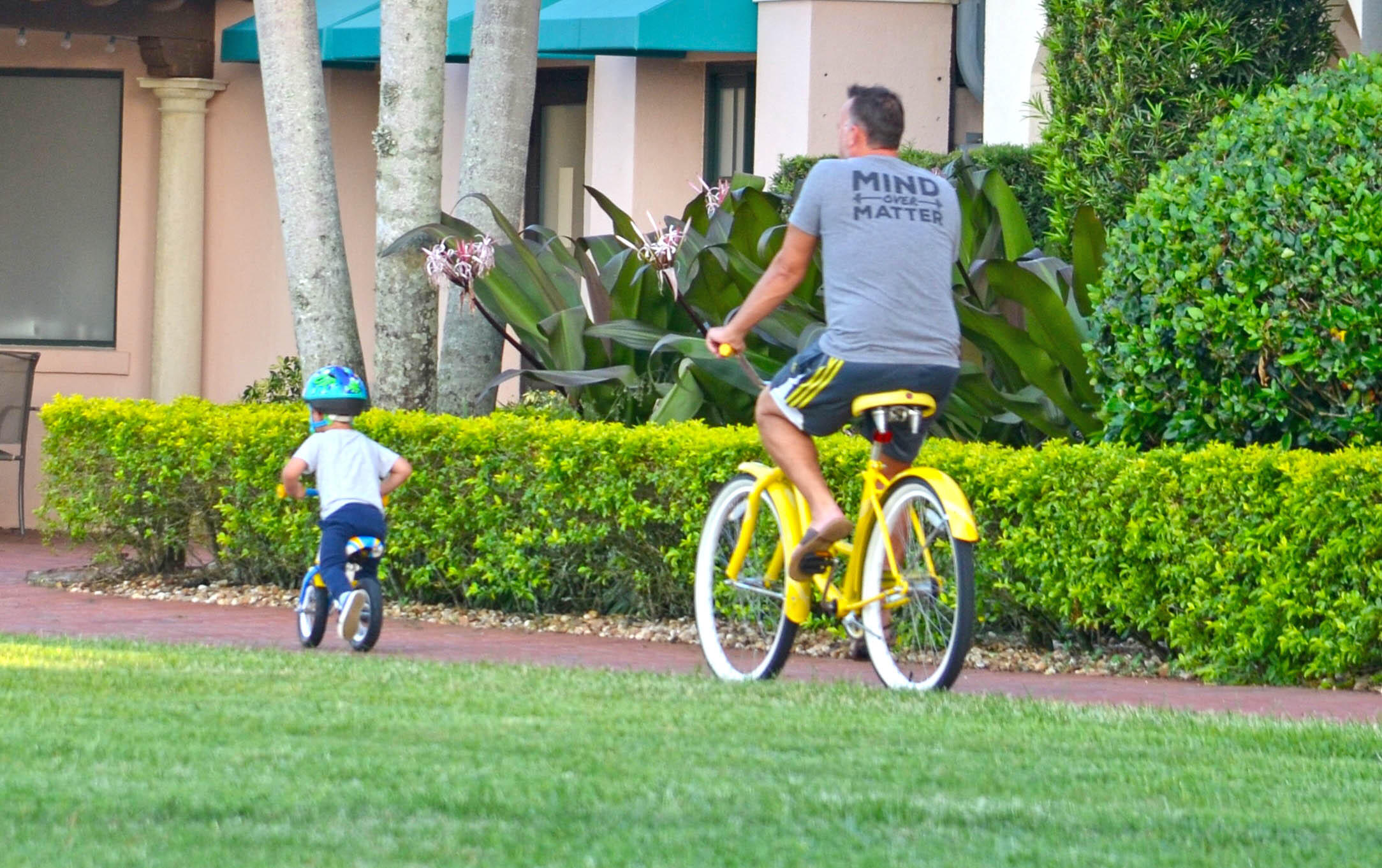 MLS #RX-11148655 image #41