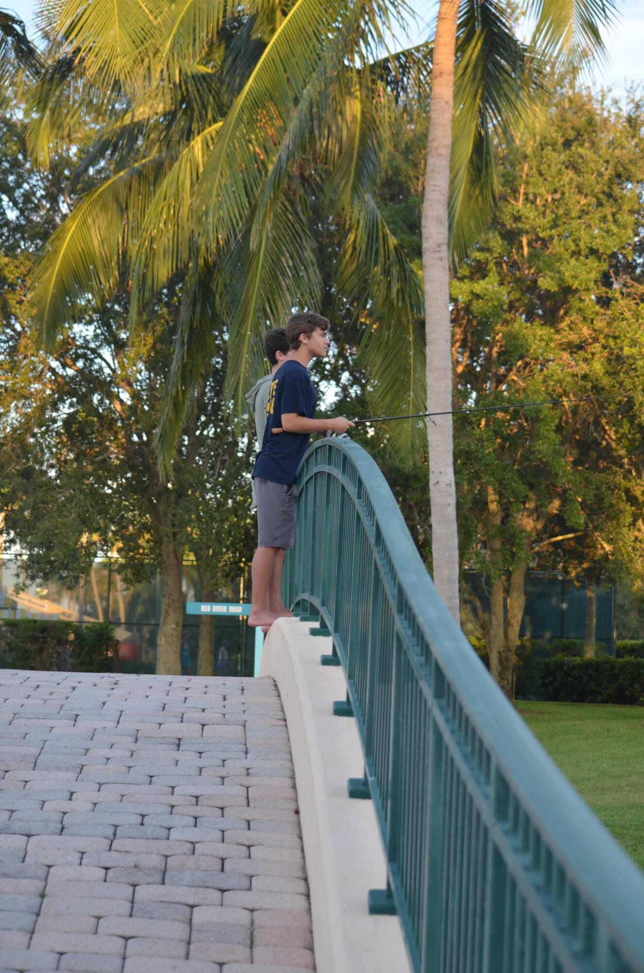 MLS #RX-11148655 image #44