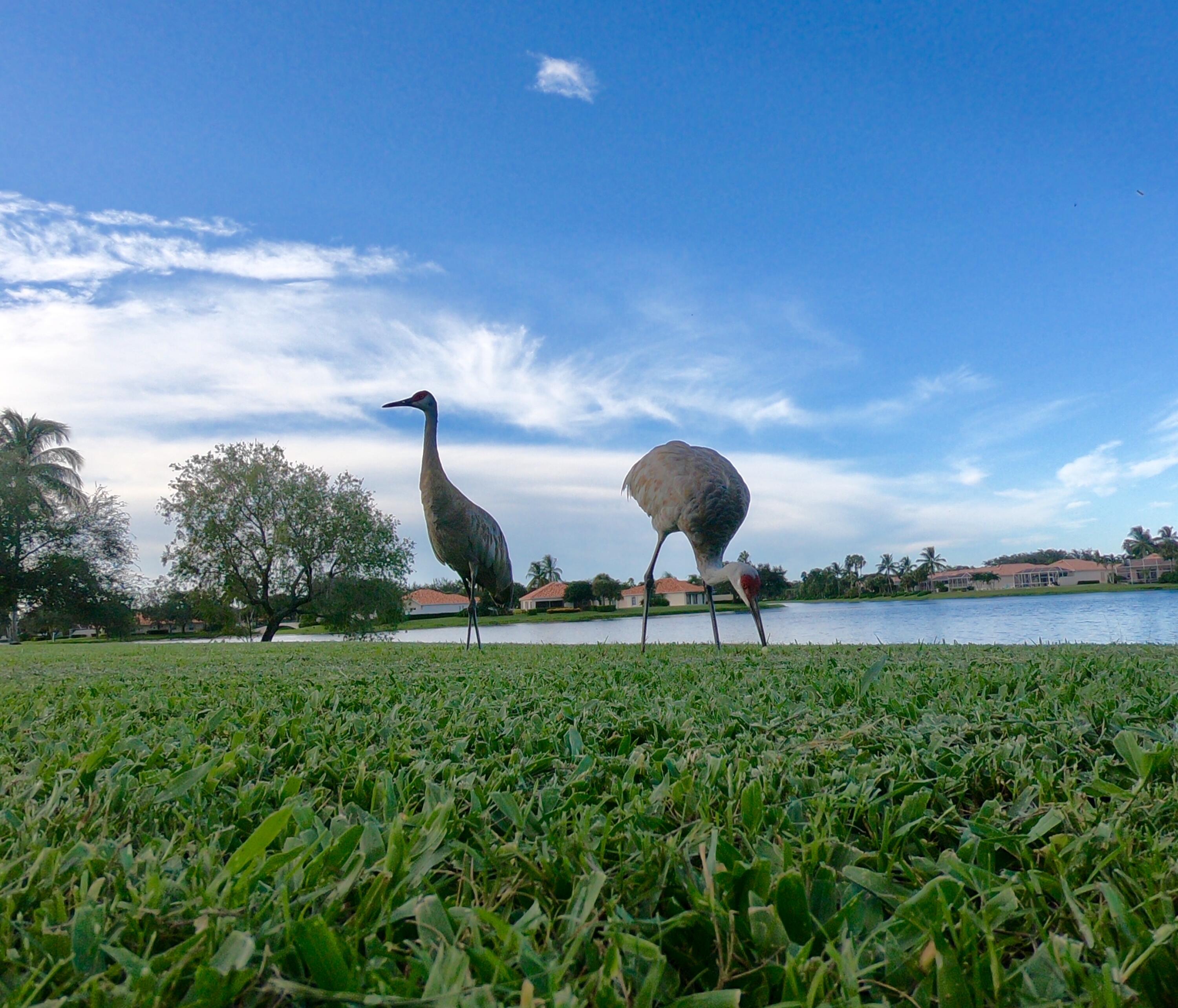 MLS #RX-11148655 image #46