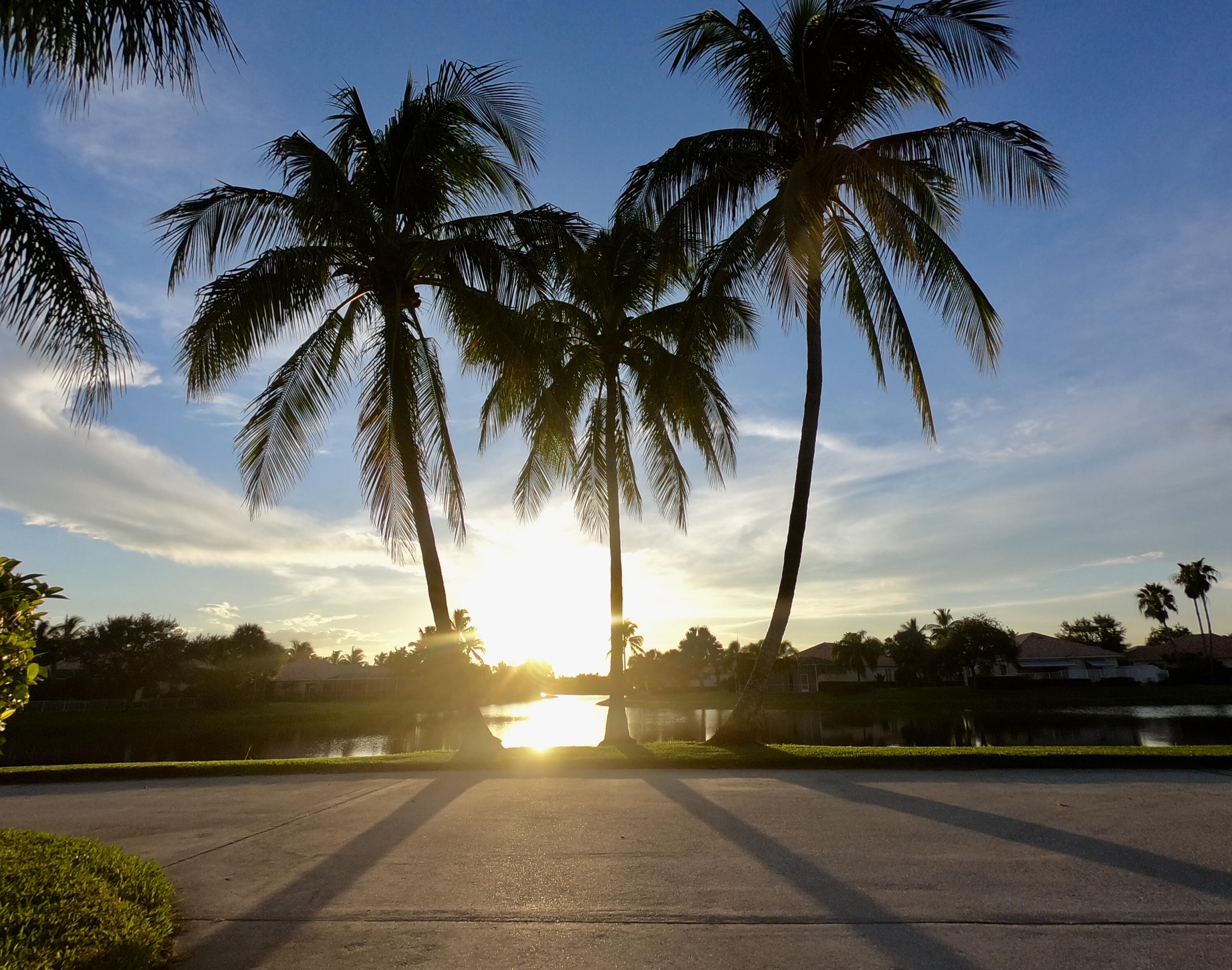 MLS #RX-11148655 image #52