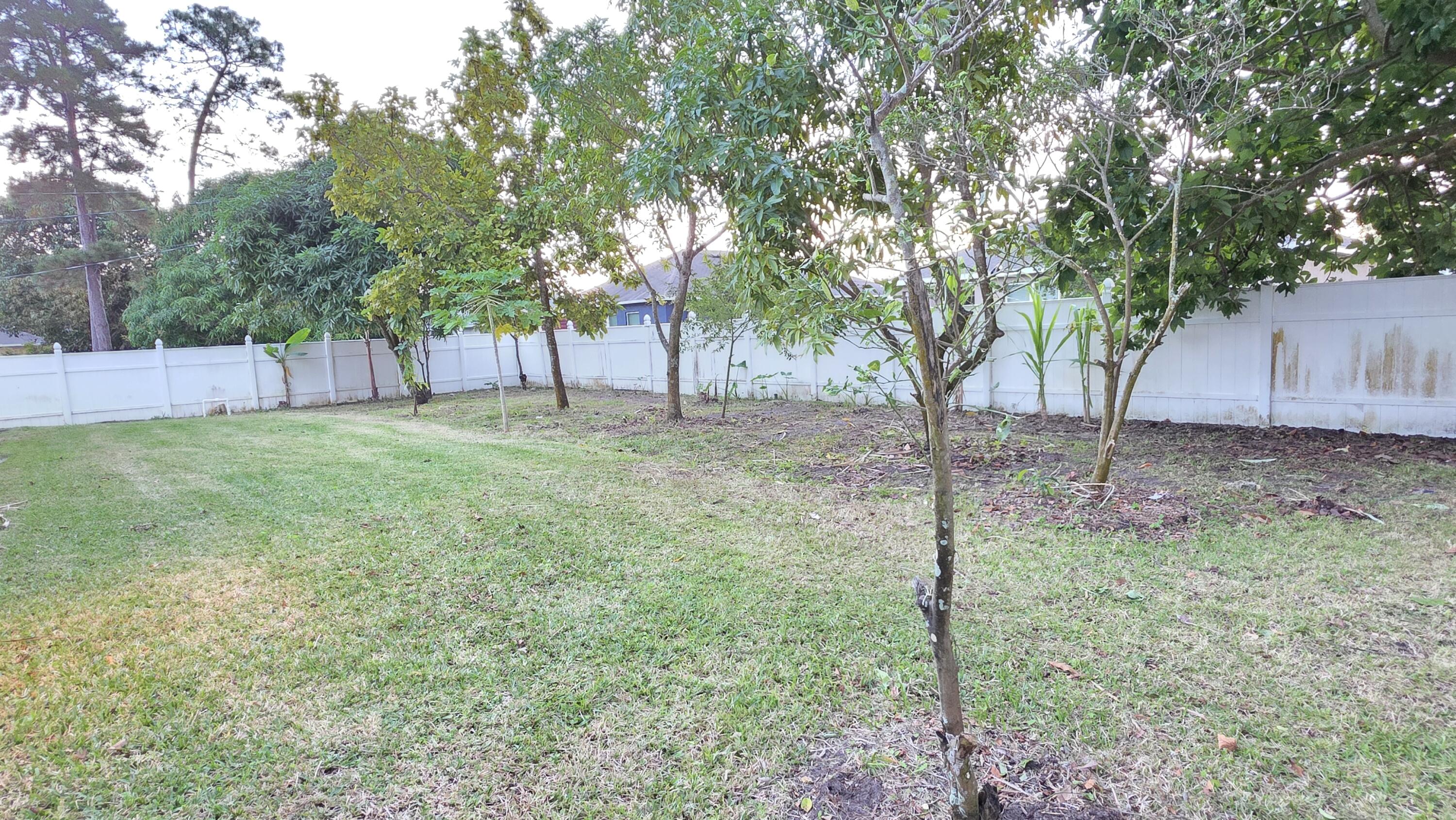 MLS #RX-11148656 image #18