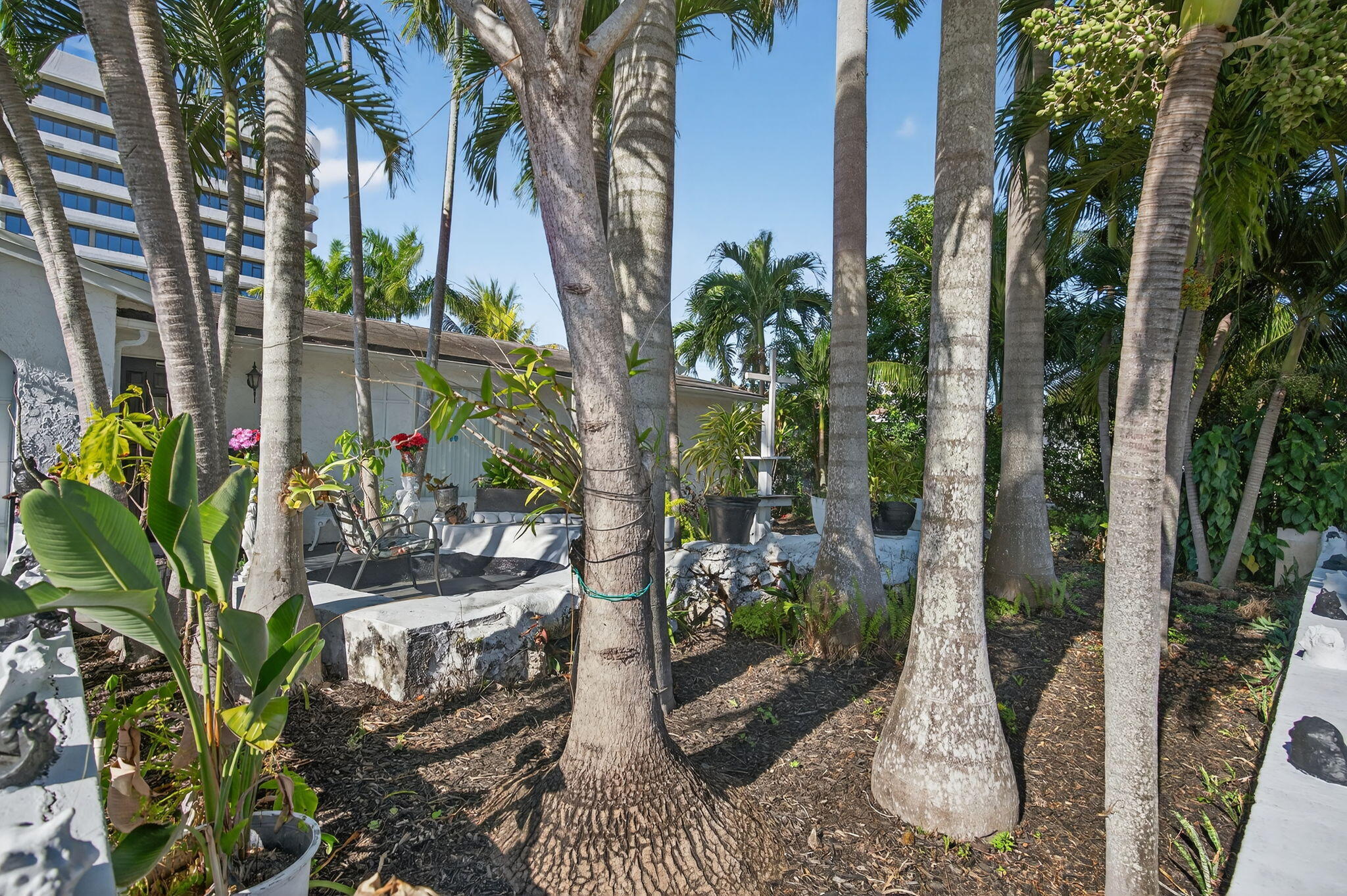 MLS #RX-11148662 image #3