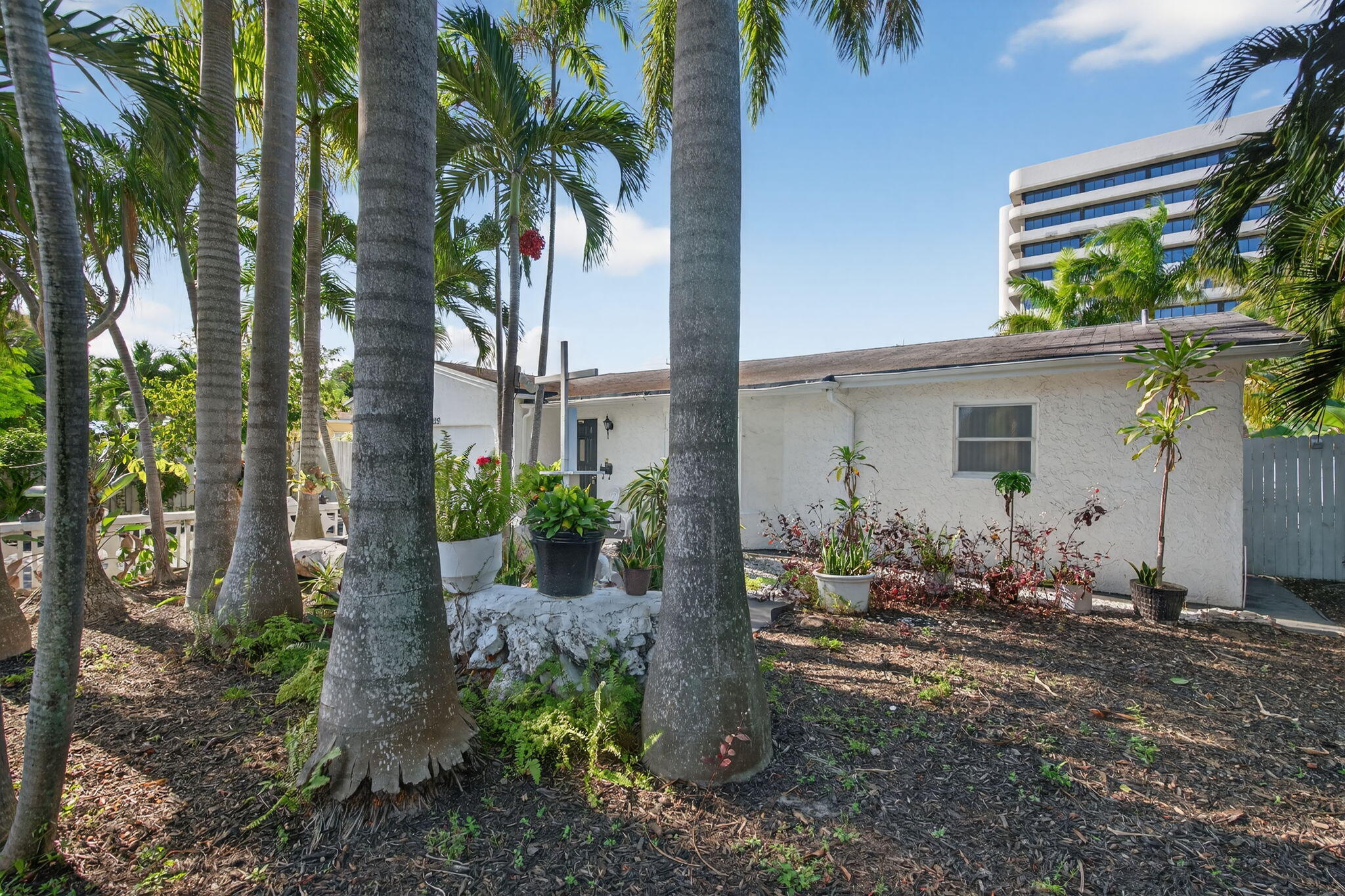 MLS #RX-11148662 image #6