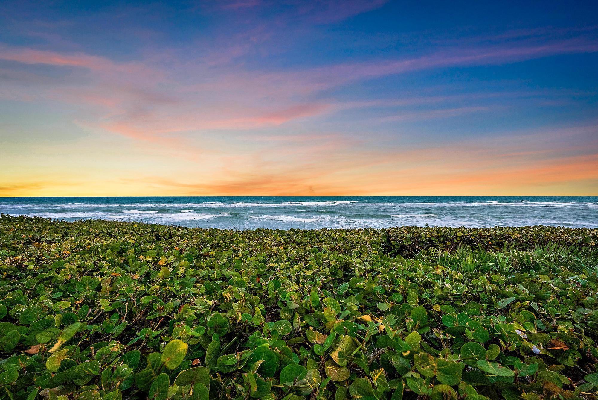 MLS #RX-11148701 image #60