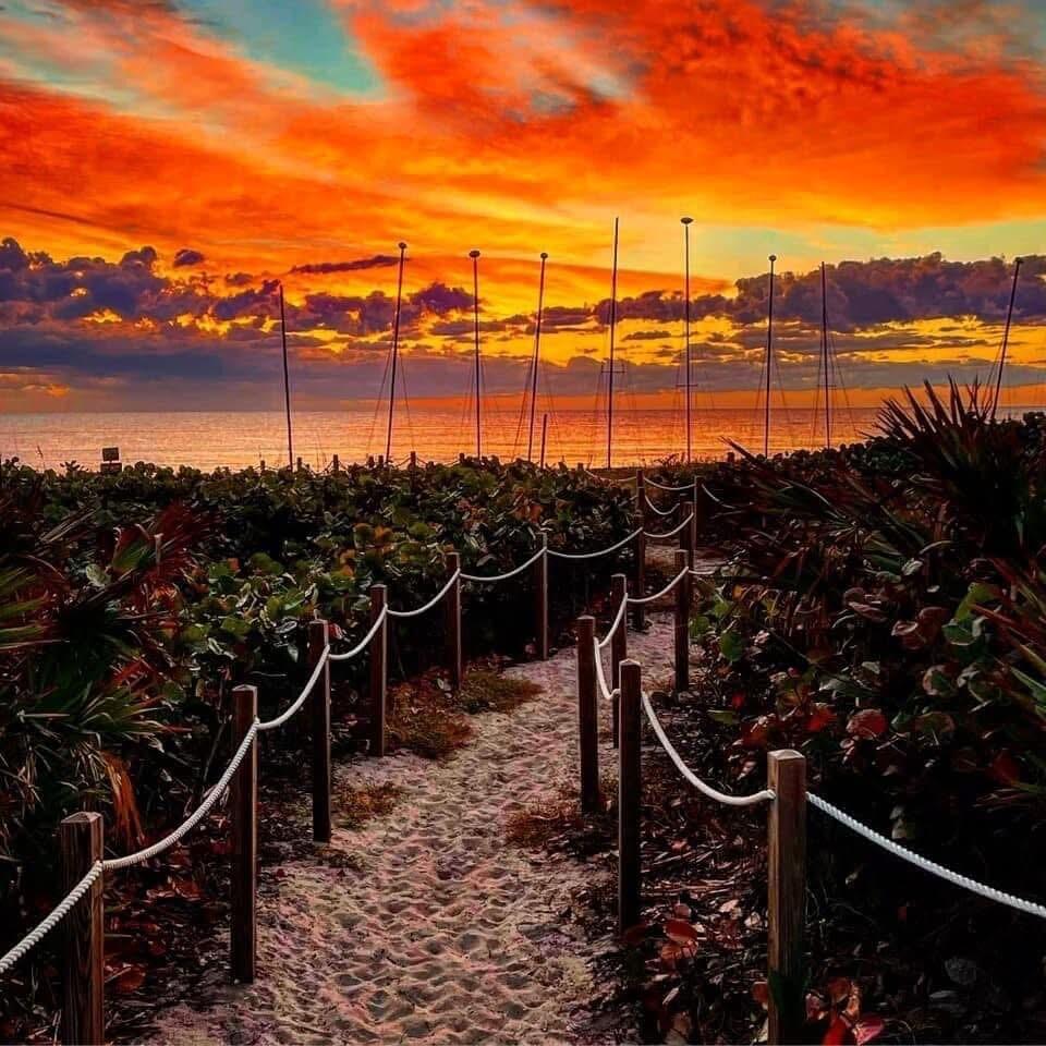 MLS #RX-11148727 image #56