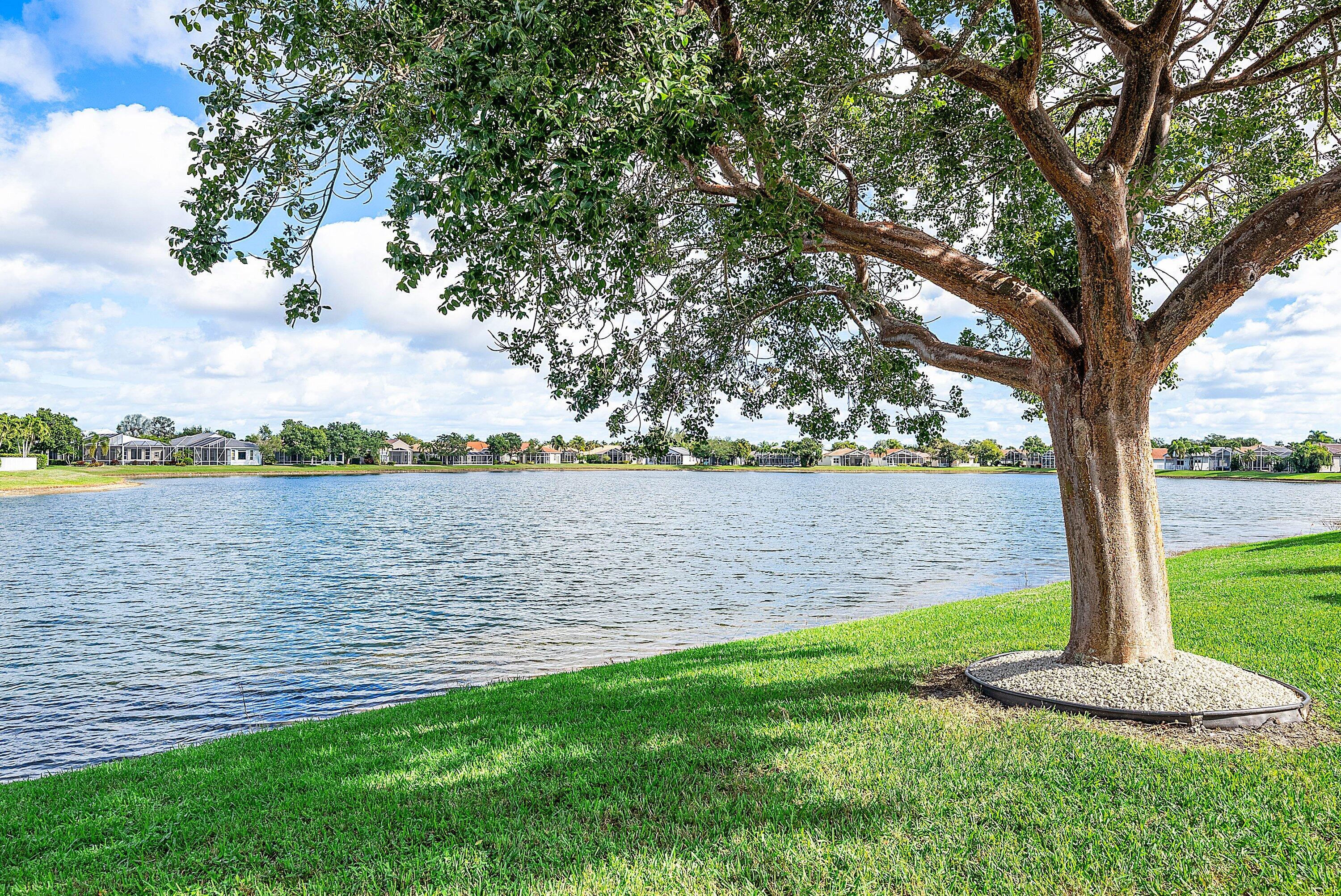 MLS #RX-11148756 image #29