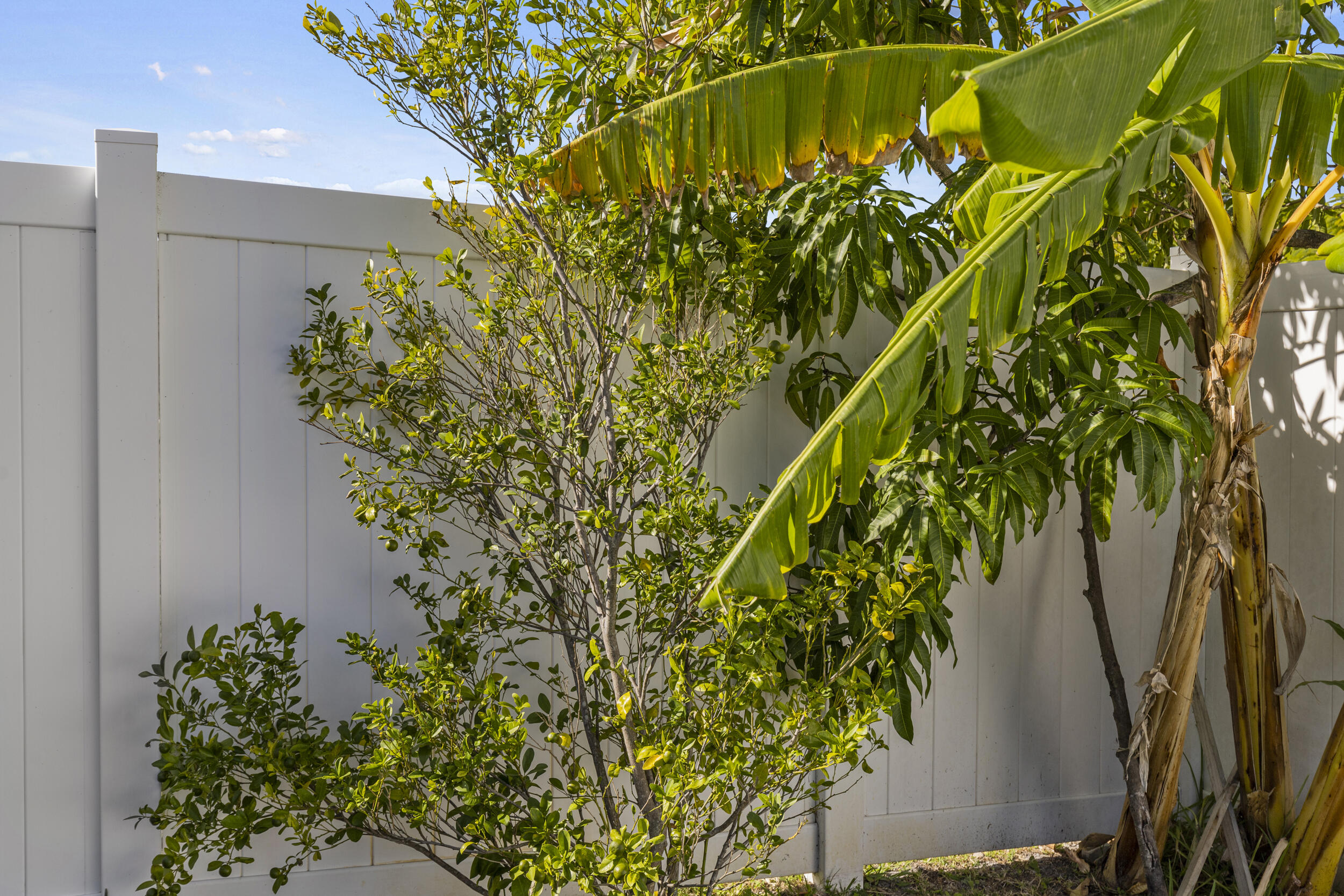 MLS #RX-11148789 image #45