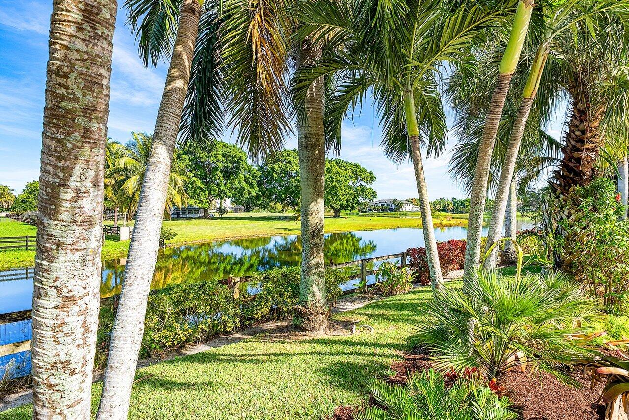 MLS #RX-11148868 image #31