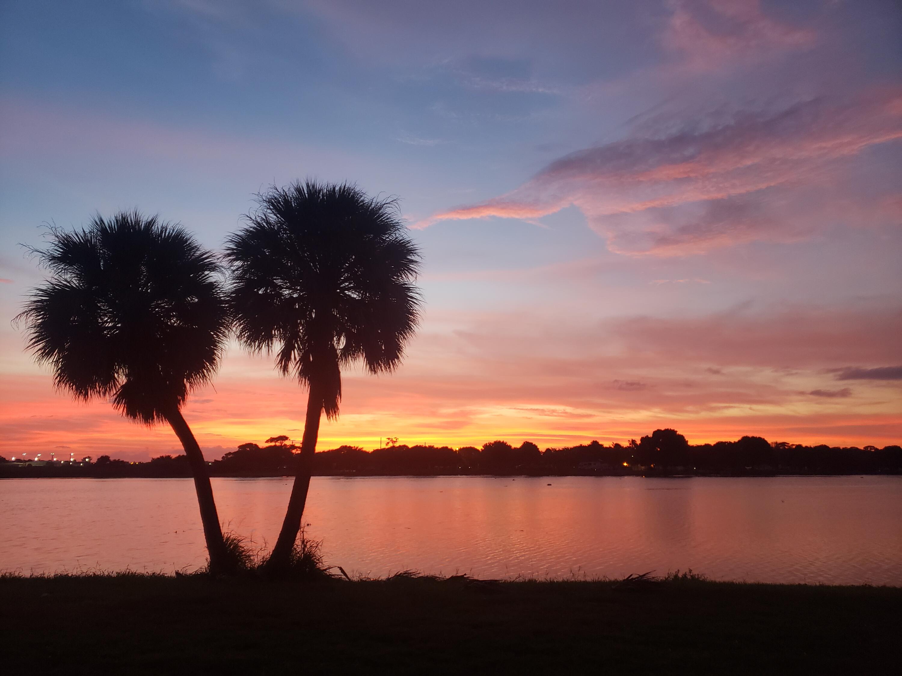 MLS #RX-11148941 image #1