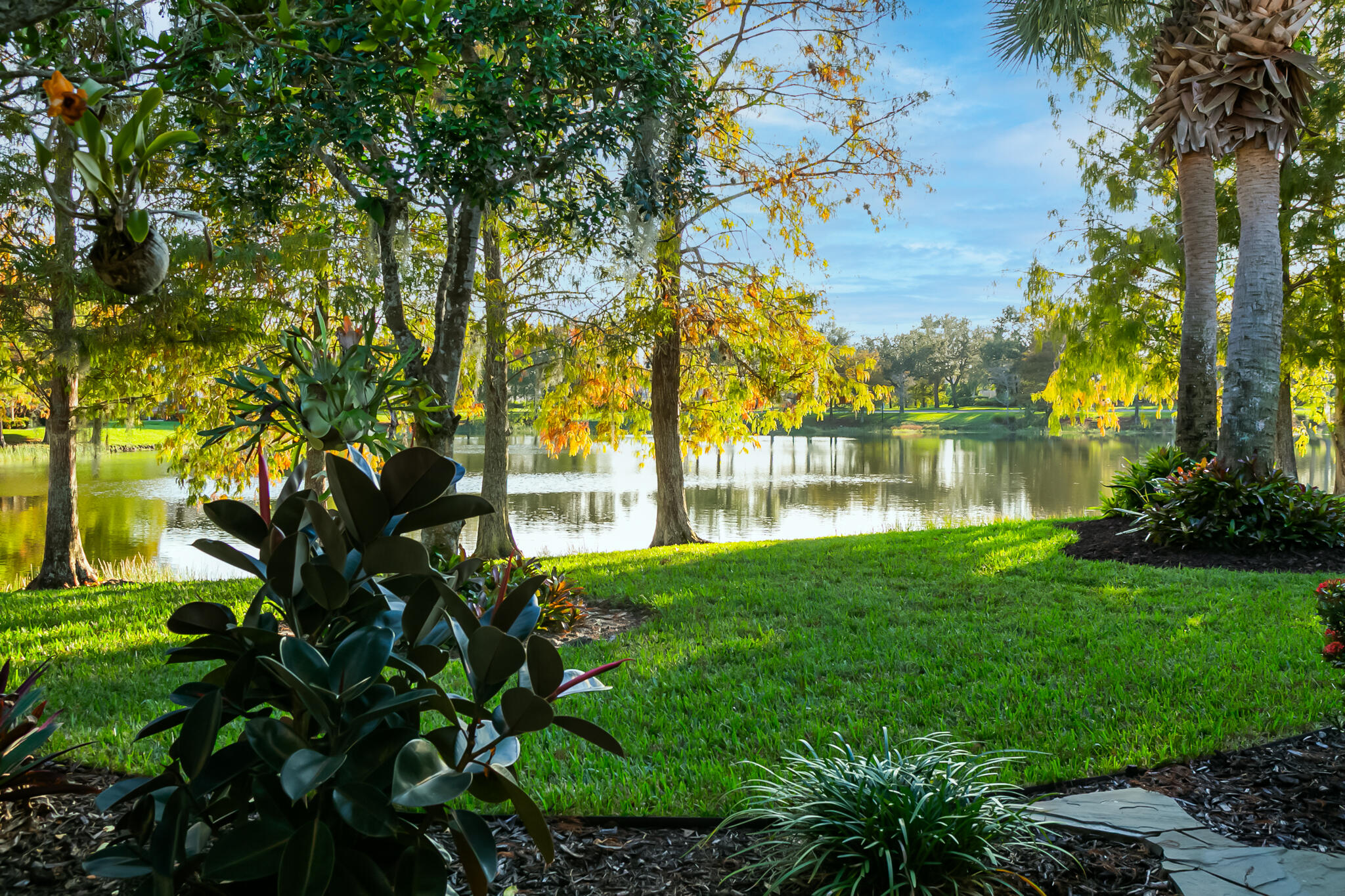 MLS #RX-11148950 image #1