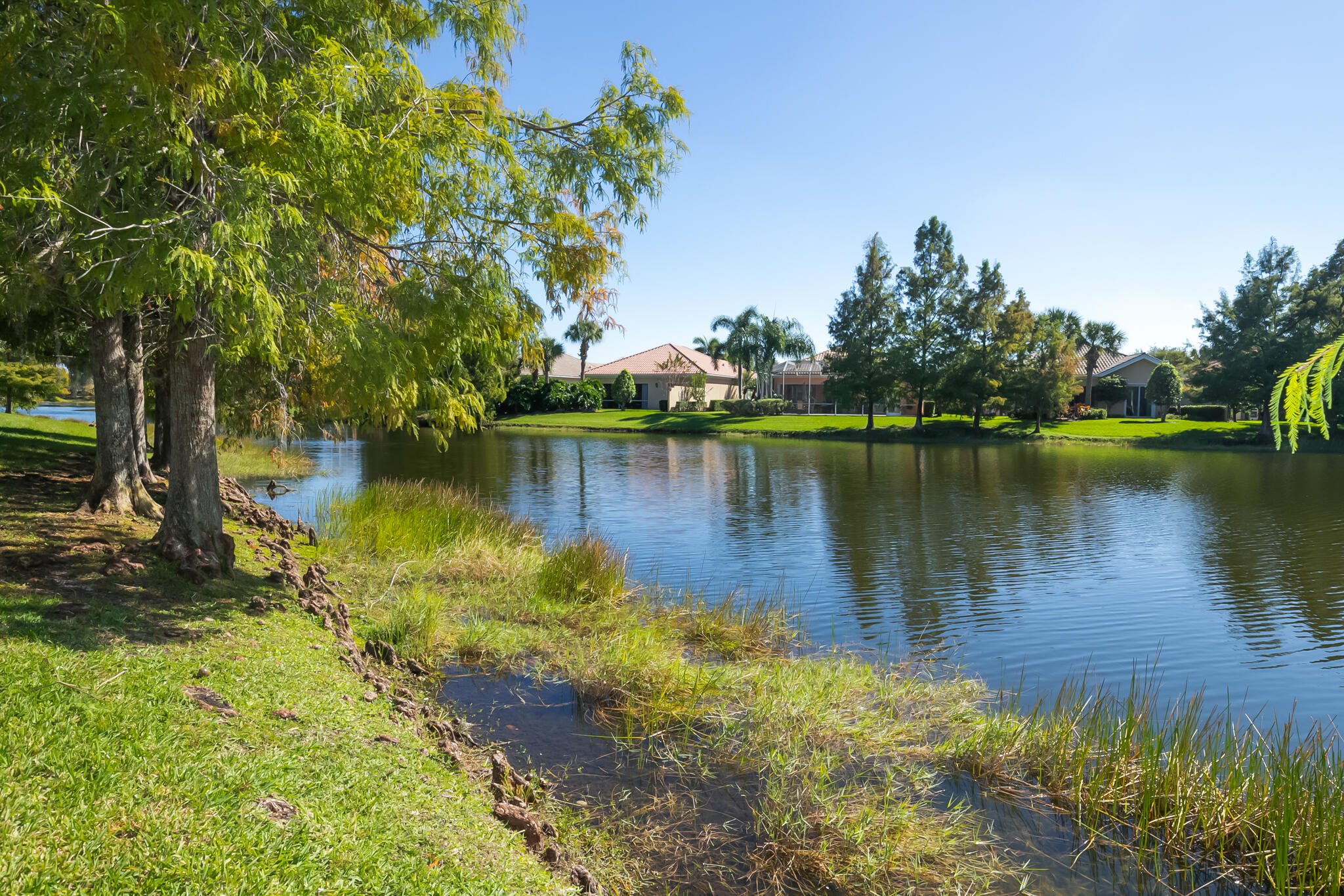 MLS #RX-11148950 image #2