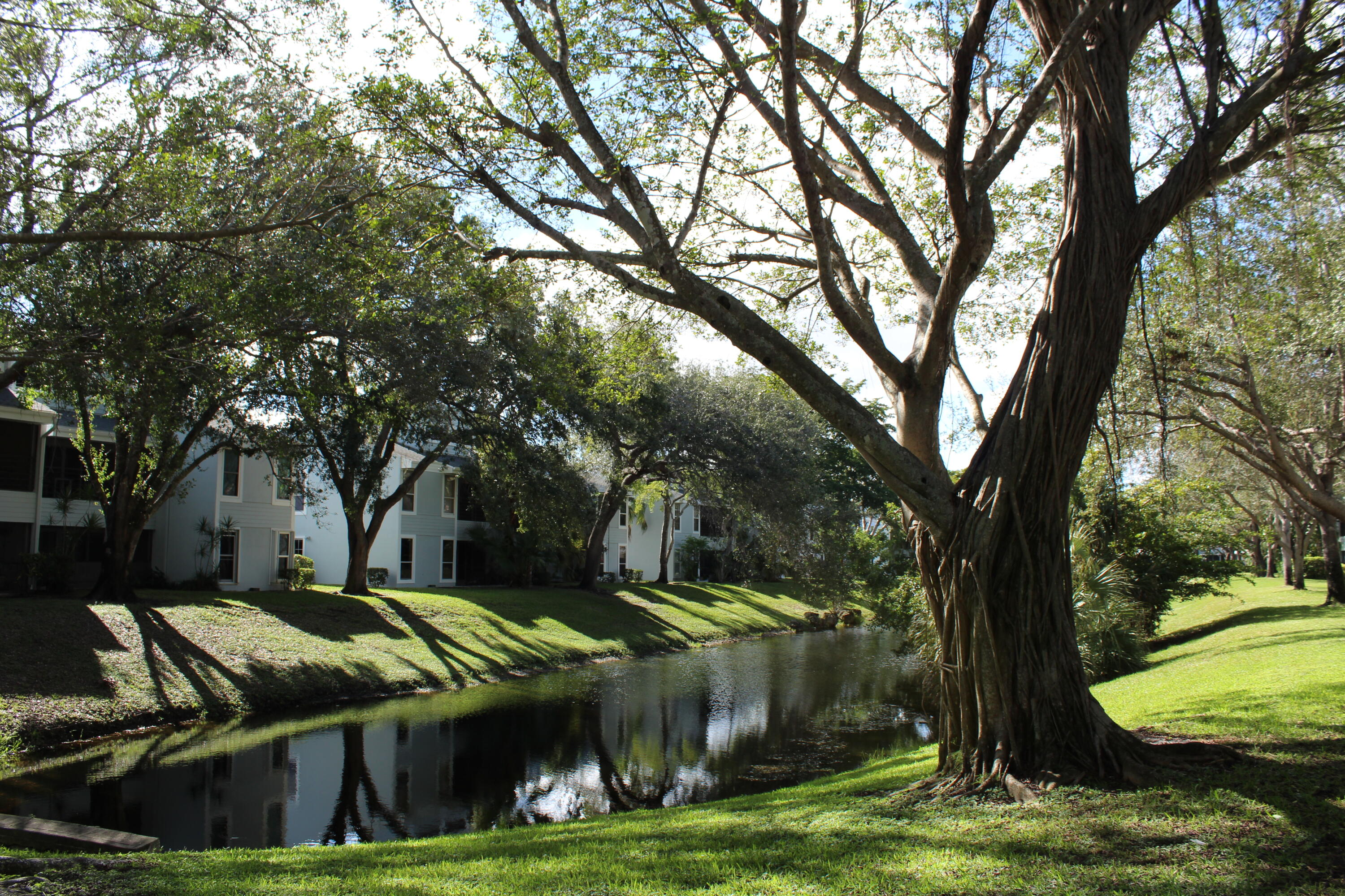 MLS #RX-11148958 image #19