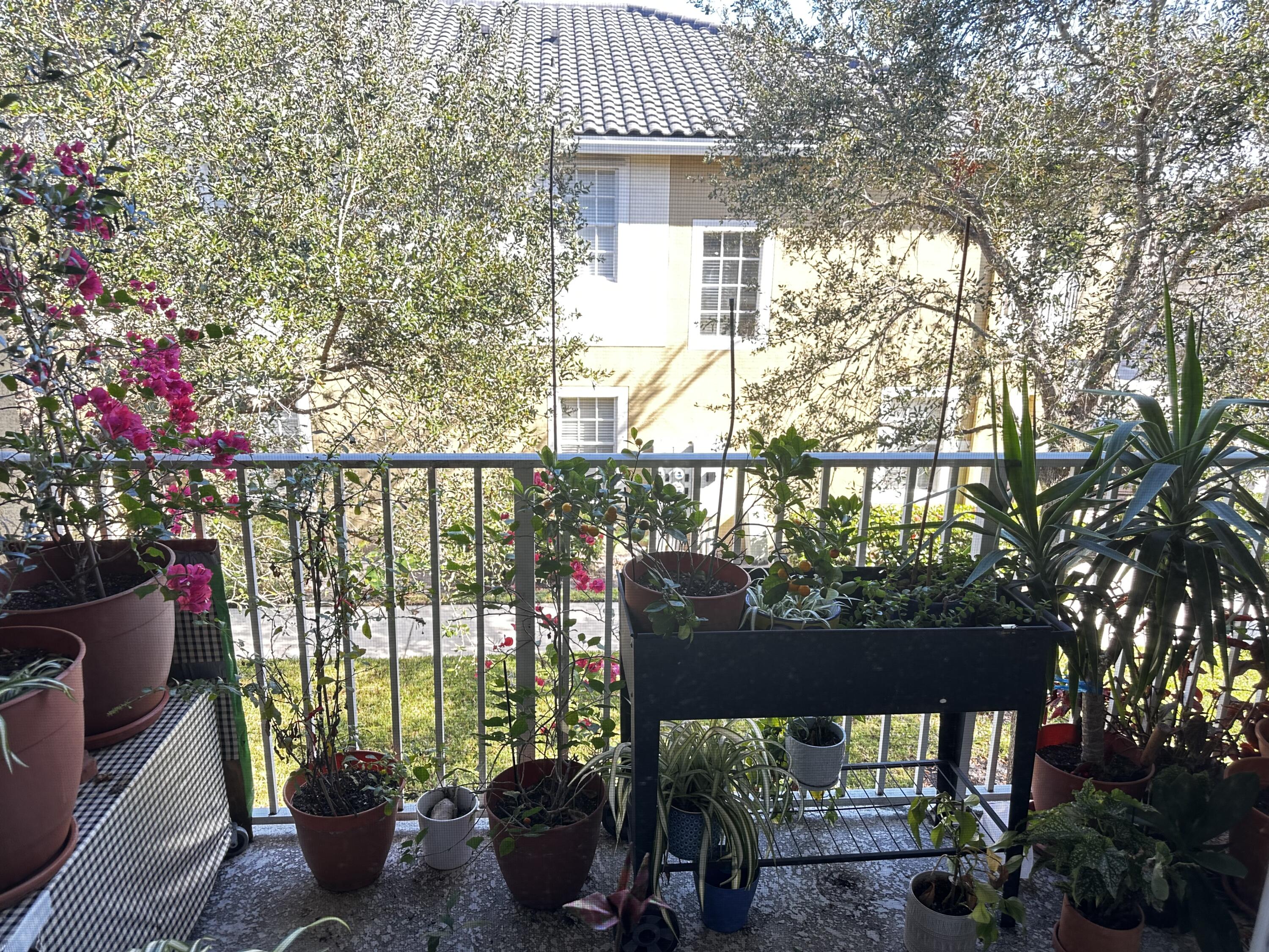 MLS #RX-11148971 image #5